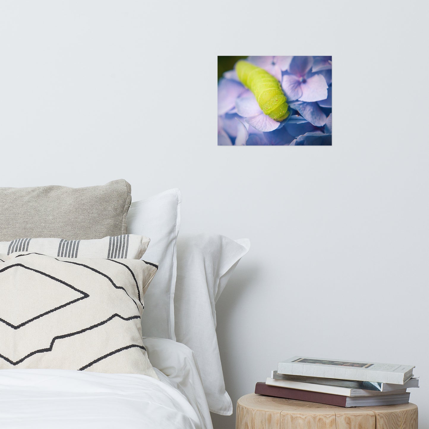 Actias Luna Larvae on Hydrangea Floral Nature Photo Loose Unframed Wall Art Prints