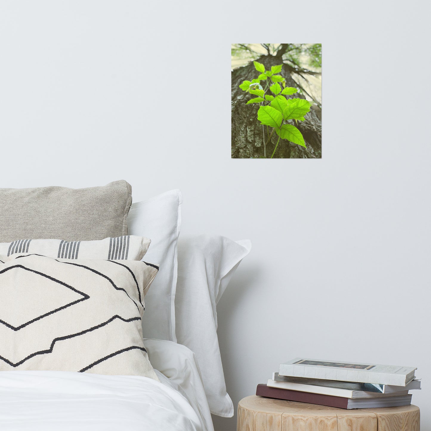 Climbing The Tree Rustic Botanical Nature Photo Loose Unframed Wall Art Prints