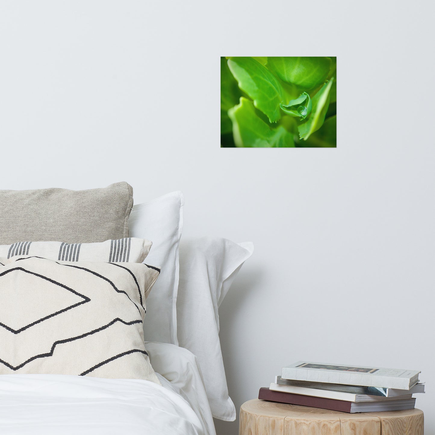 Cupped Droplet Rustic Minimal Botanical Nature Photo Loose Unframed Wall Art Prints