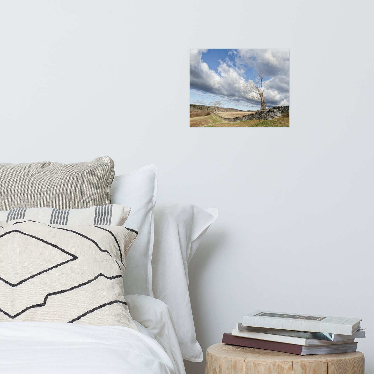 Dead Tree and Stone Wall Rustic Farmhouse Style Landscape Photo Loose Wall Art Prints