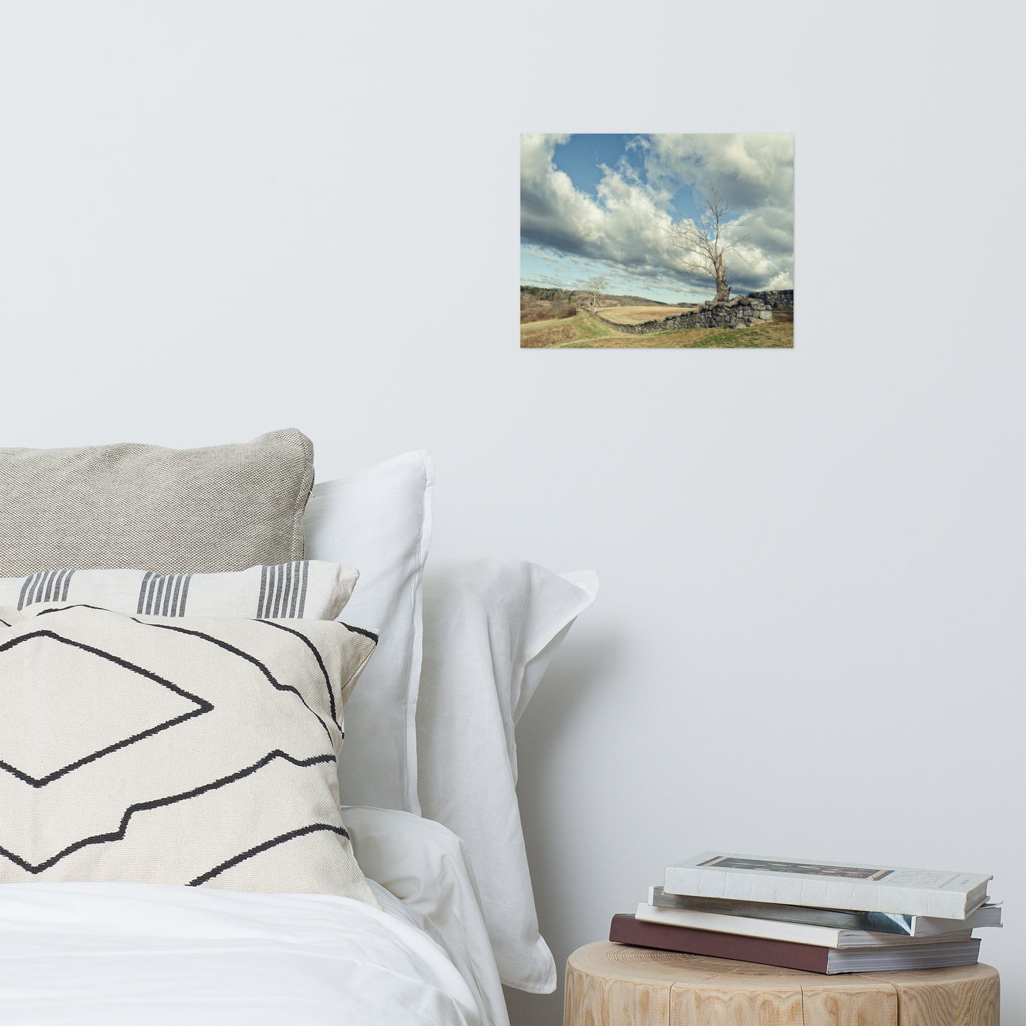 Dead Tree and Stone Wall Split Toned Farmhouse Style Landscape Photo Loose Wall Art Prints