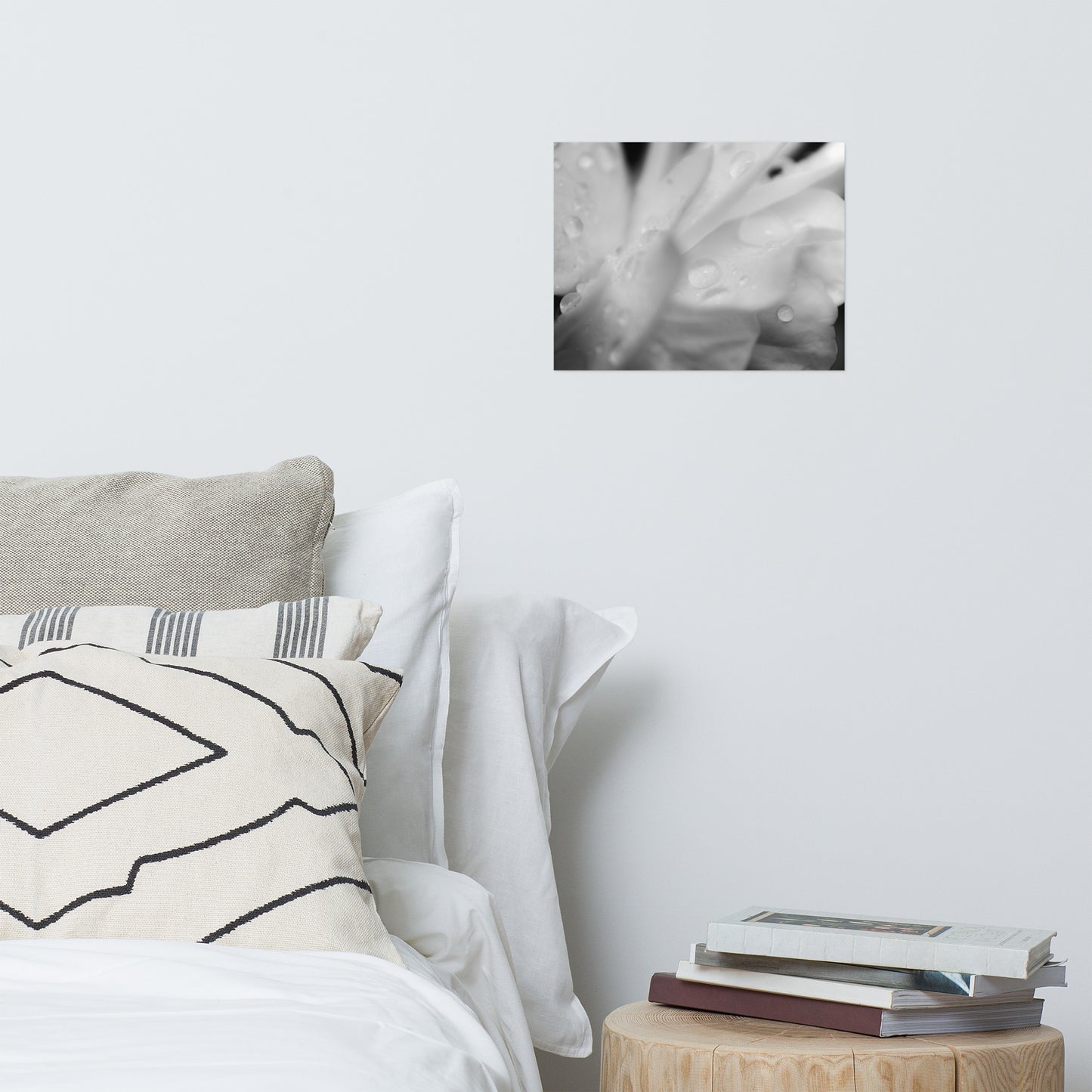 Delicate Rose Petals Black and White Floral Nature Photo Loose Unframed Wall Art Prints