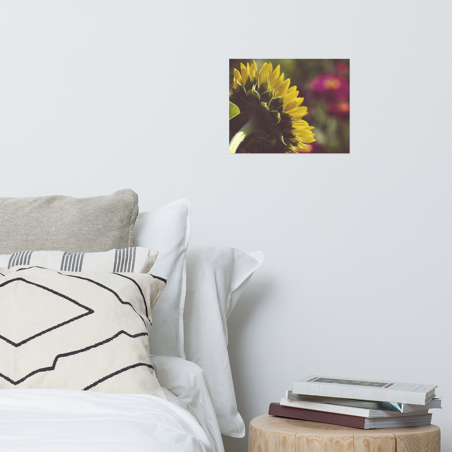 Dramatic Backside of Sunflower Grain Floral Nature Photo Loose Unframed Wall Art Prints