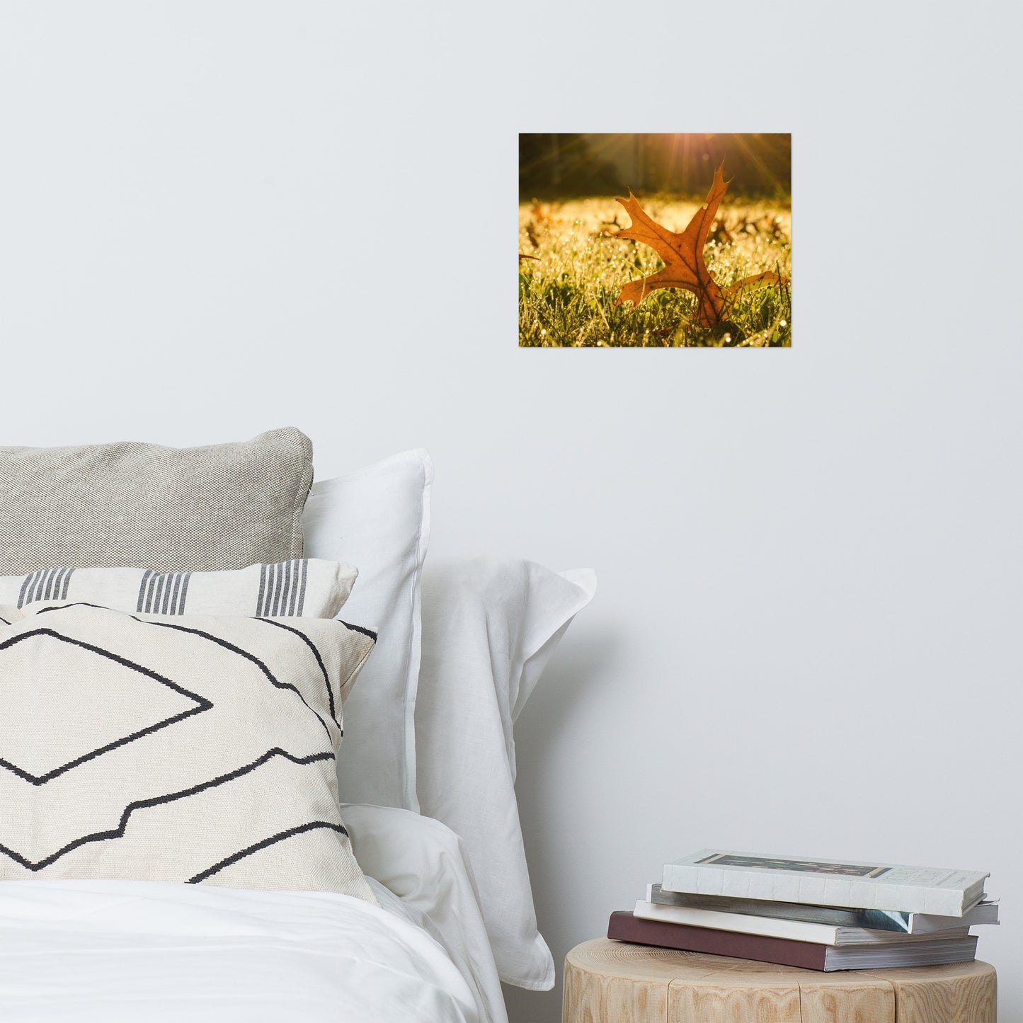 Fall Leaf in Morning Sun Farmhouse Style Botanical Nature Photo Loose Unframed Wall Art Prints