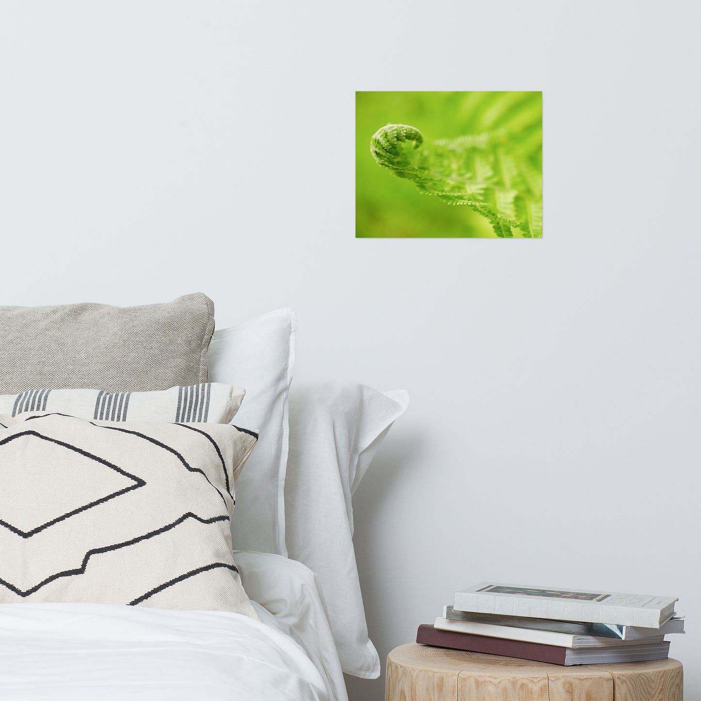 Fern Curl Botanical Nature Photo Loose Unframed Wall Art Prints