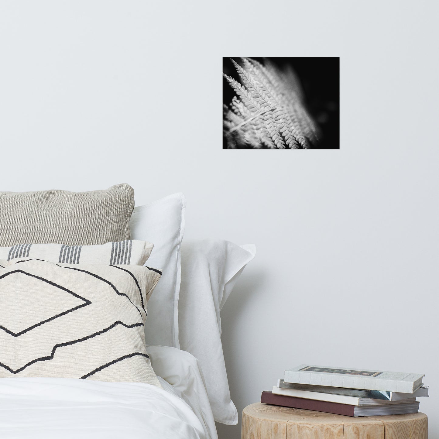 Fern Leaf In the Sunlight Black and White Botanical Nature Photo Loose Unframed Wall Art Prints