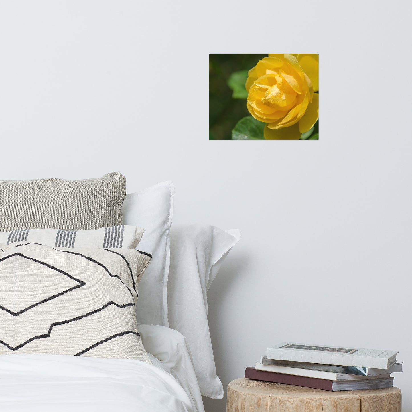 Friendship Rose Floral Nature Photo Loose Unframed Wall Art Prints