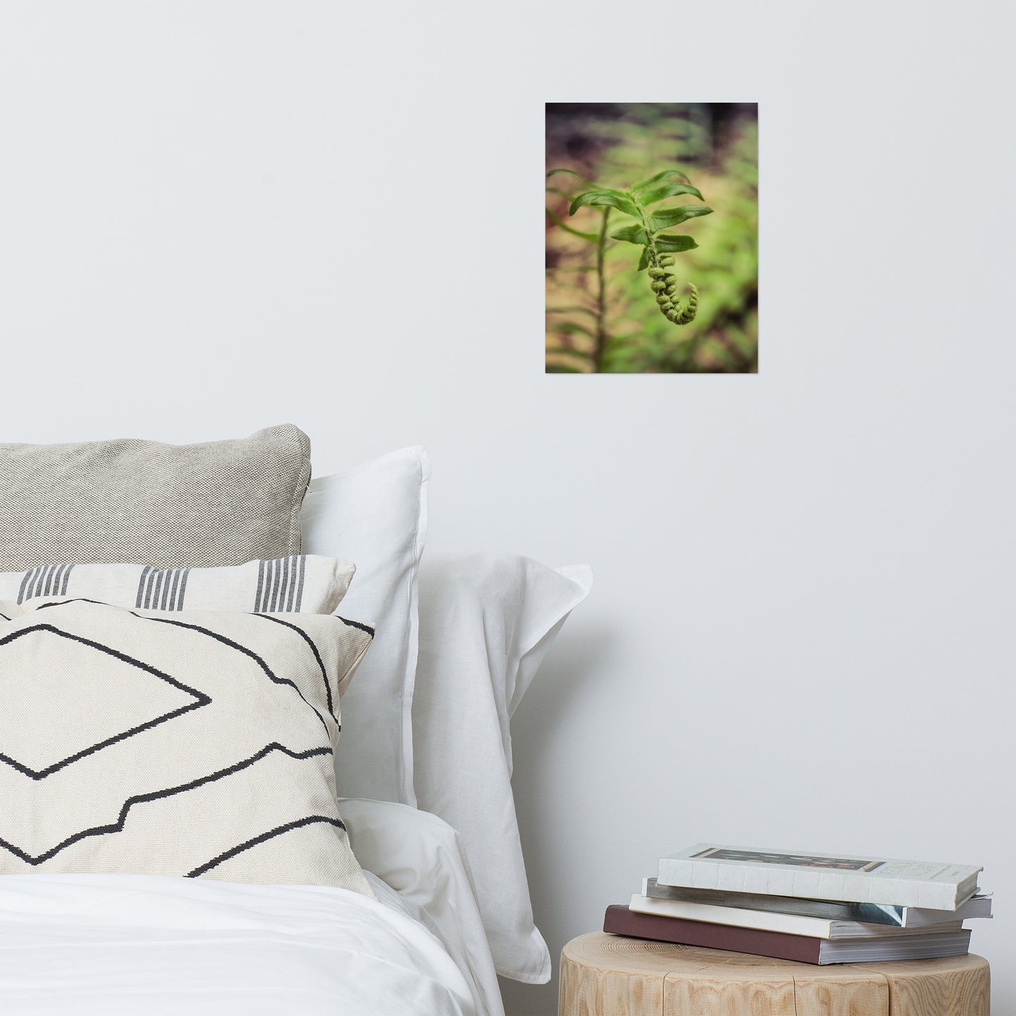 Growth of the Forest Floor Rustic Farmhouse Style Botanical Nature Photo Loose Unframed Wall Art Prints