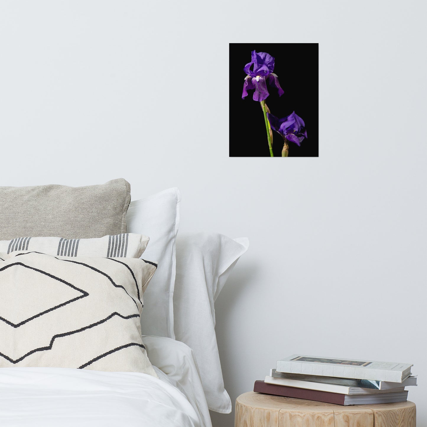 Iris on Black Floral Nature Photo Loose Unframed Wall Art Prints