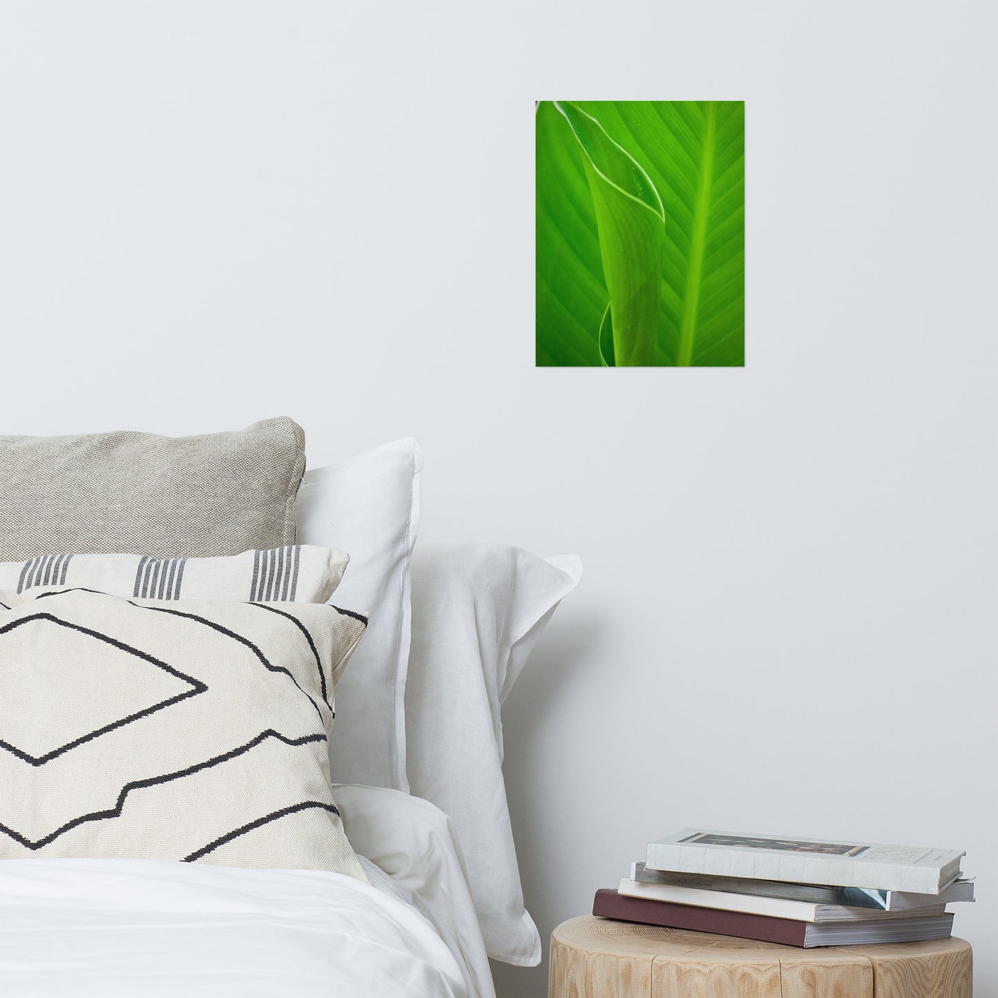 Leaves of Canna Lily Modern Farmhouse Style Botanical Nature Photo Loose Unframed Wall Art Prints
