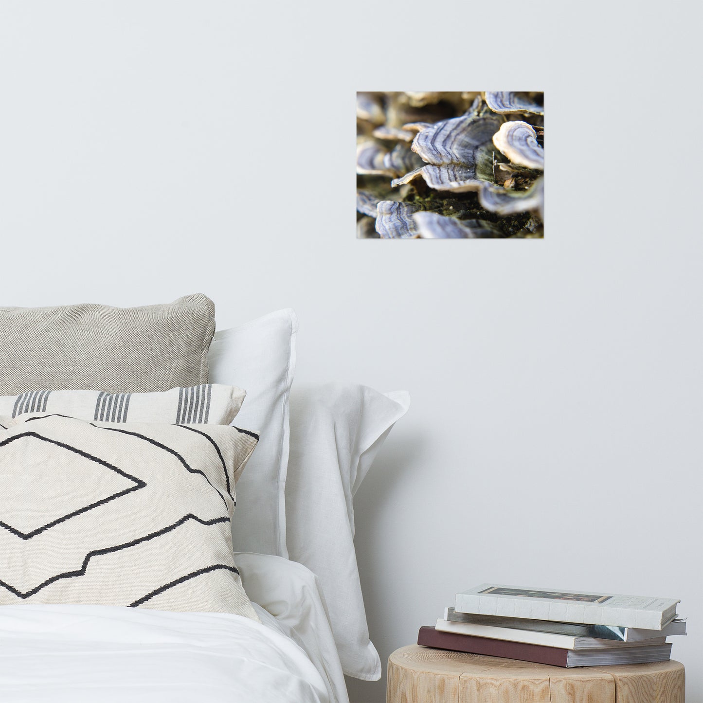 Mushrooms on Log Rustic Farmhouse Style Botanical Nature Photo Loose Unframed Wall Art Prints