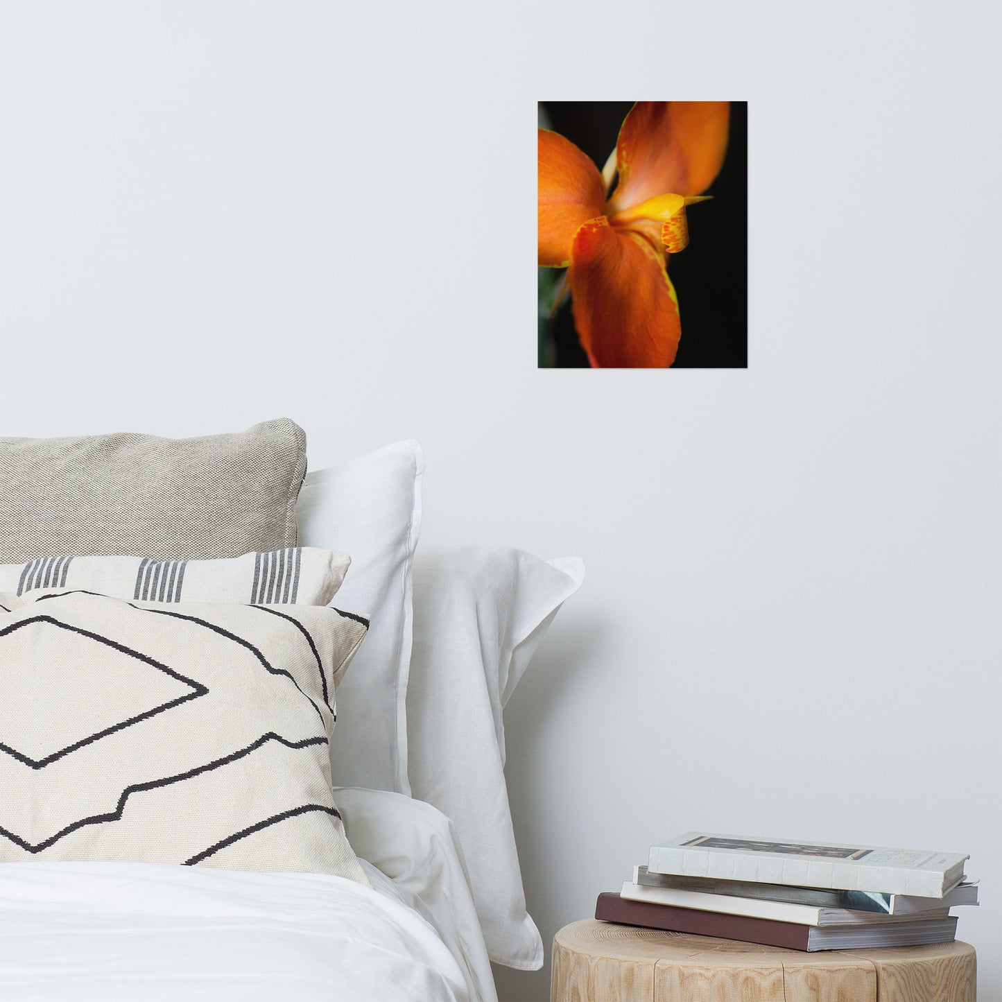Orange Canna at Longwood Gardens Floral Nature Photo Loose Unframed Wall Art Prints