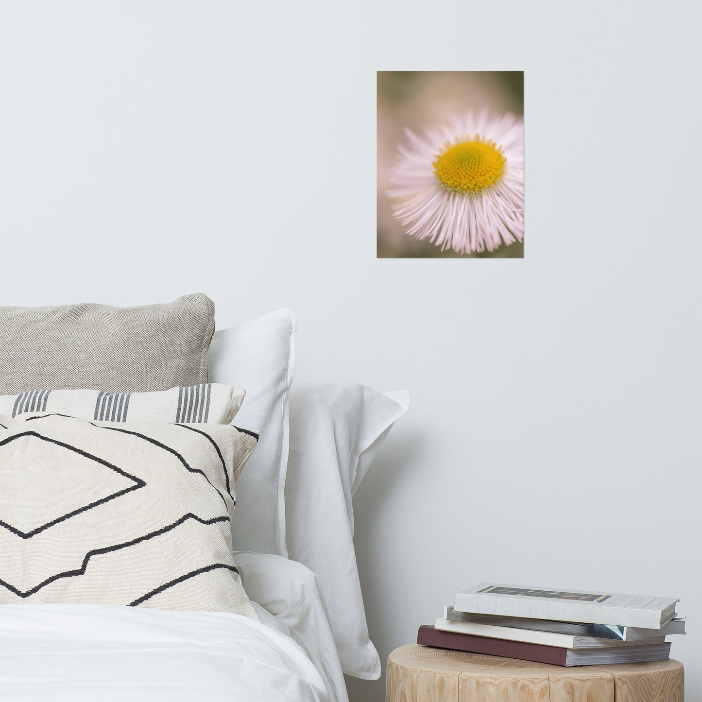 Philadelphia Fleabane Single Bloom Floral Nature Photo Loose Unframed Wall Art Prints