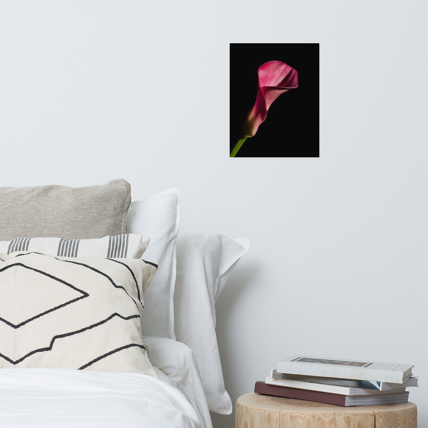 Pink Calla Lily Flower on Black Floral Nature Photo Loose Unframed Wall Art Prints