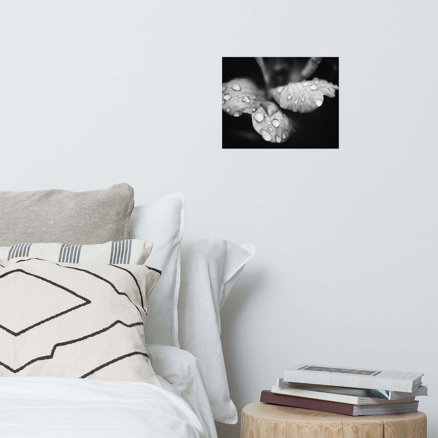 Raindrops on Wild Rose Black and White Botanical Nature Photo Loose Unframed Wall Art Prints