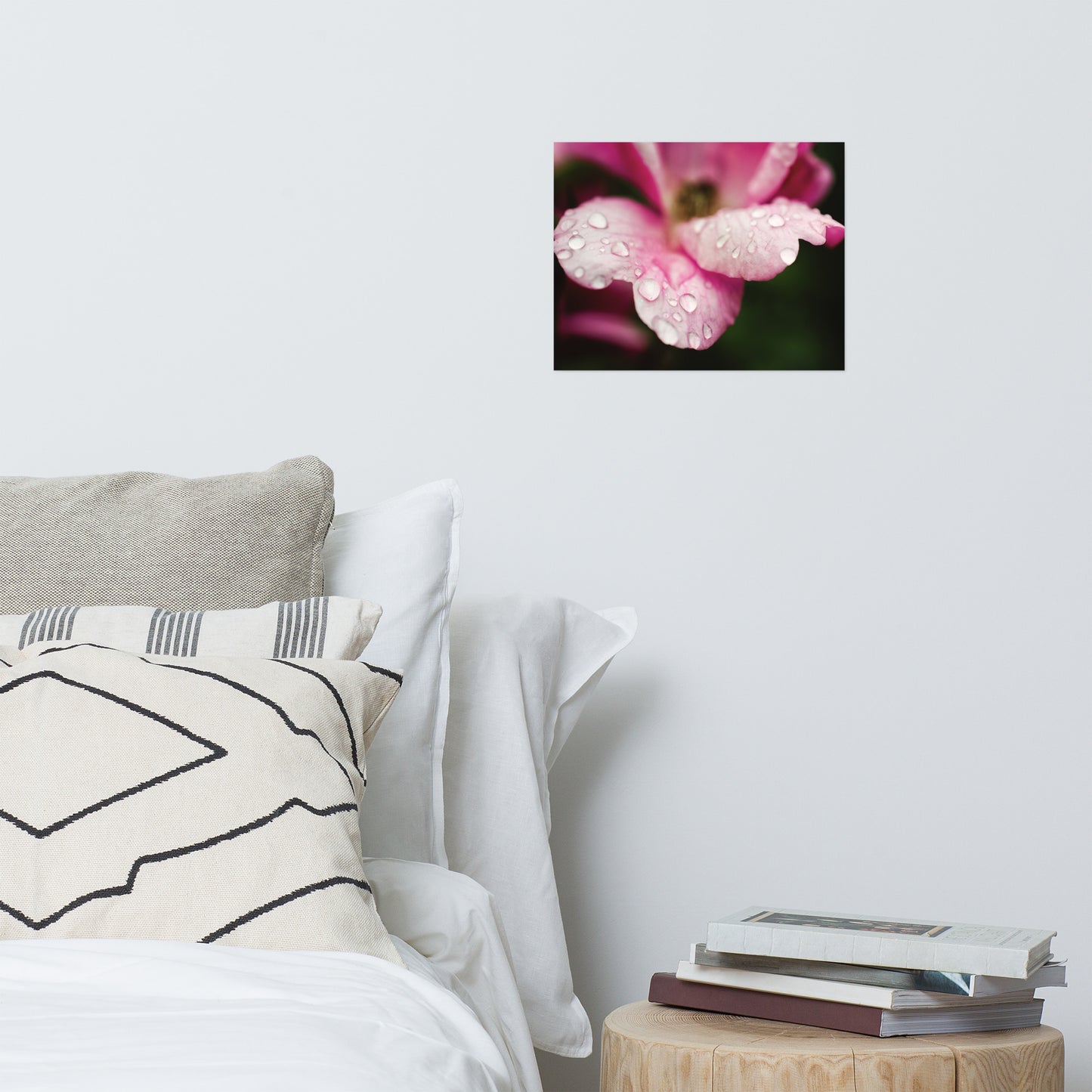 Raindrops on Wild Rose Floral Nature Photo Loose Unframed Wall Art Prints