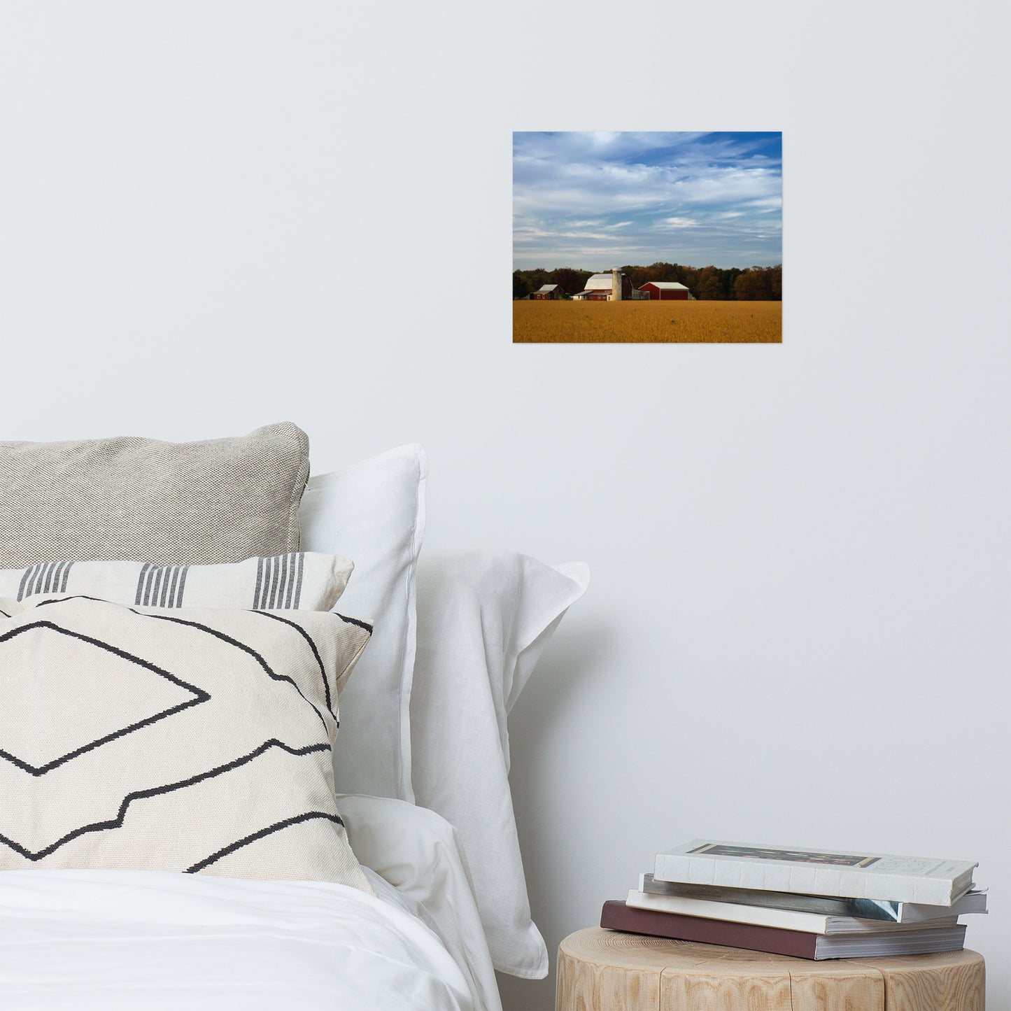 Red Barn in Golden Field Traditional Color Rustic Farmhouse Style Landscape Photo Loose Wall Art Prints