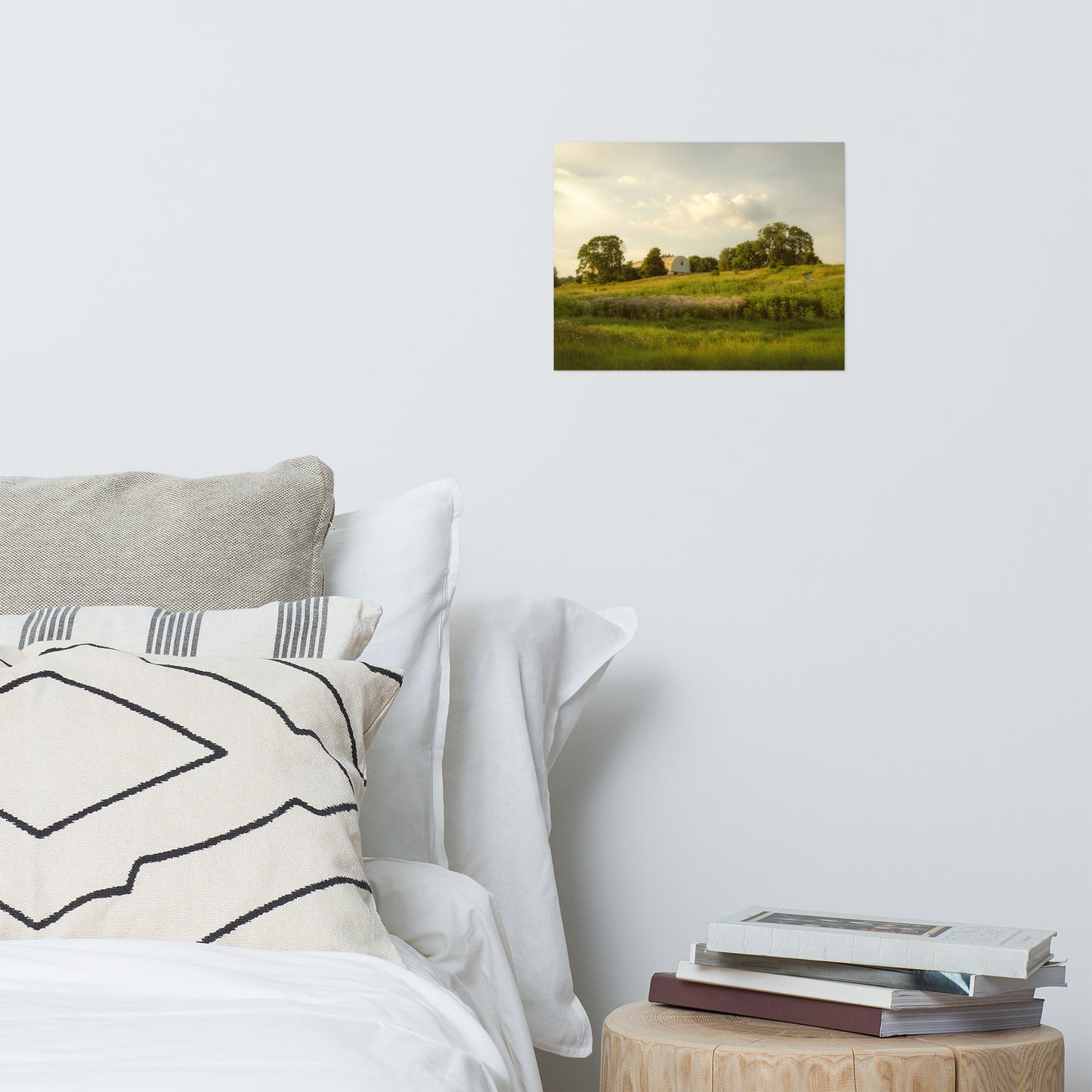 Remnant of Better Days Rustic Farmhouse Style Landscape Photo Loose Wall Art Prints