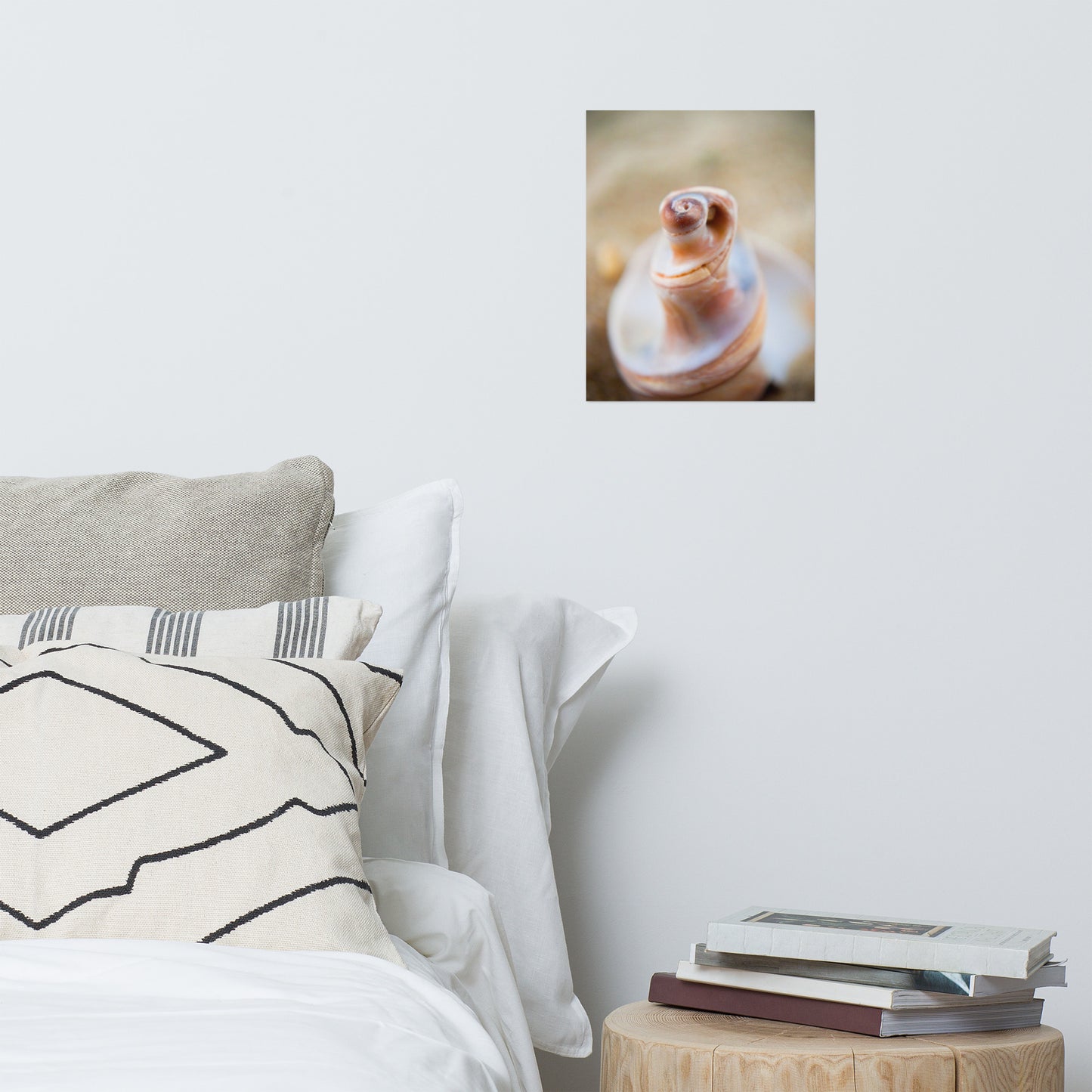 Smooth Erosion - Seashell Coastal Nature Photo Loose Unframed Wall Art Prints