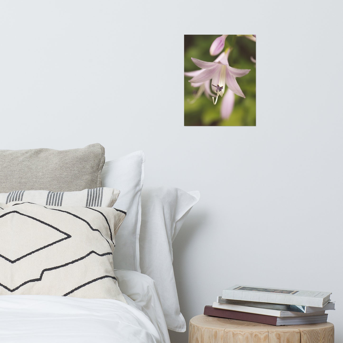 Softened Hosta Bloom Floral Nature Photo Loose Unframed Wall Art Prints