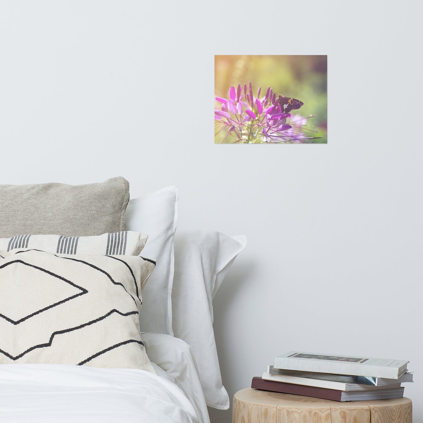 Spider Flower in Glory Light With Spotted Moth Floral Nature Photo Loose Unframed Wall Art Prints
