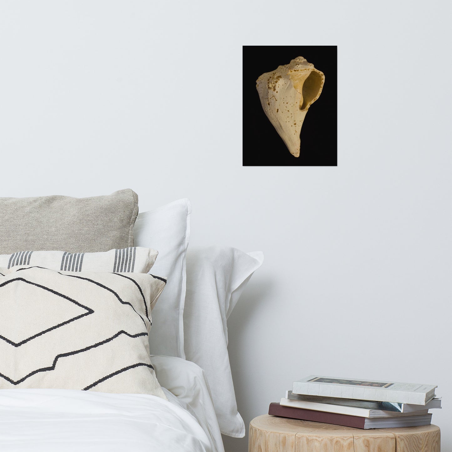 States of Erosion Image 1 Whelk Shell Coastal Nature Photo Loose Unframed Wall Art Prints