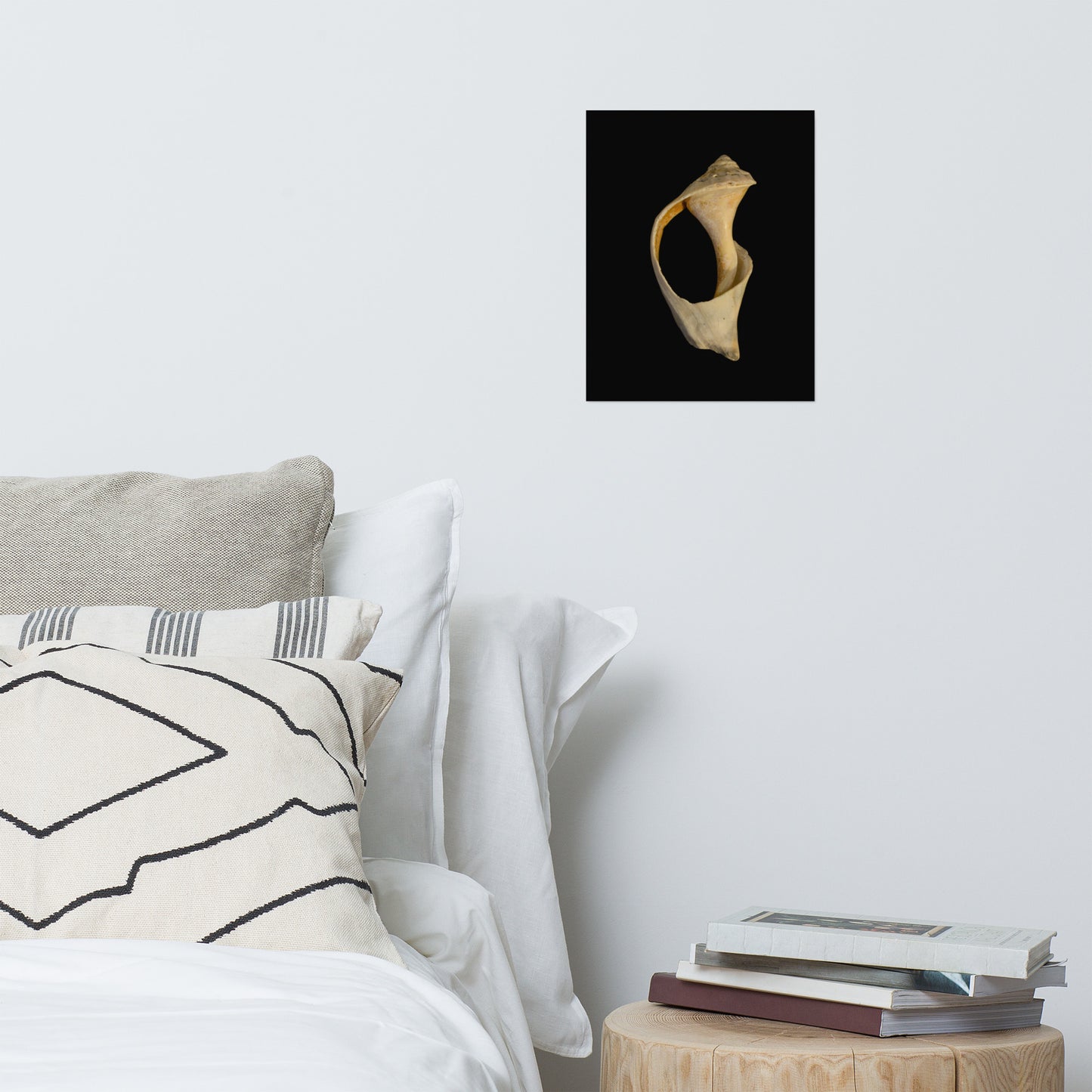 States of Erosion Image 2 Whelk Shell Coastal Nature Photo Loose Unframed Wall Art Prints