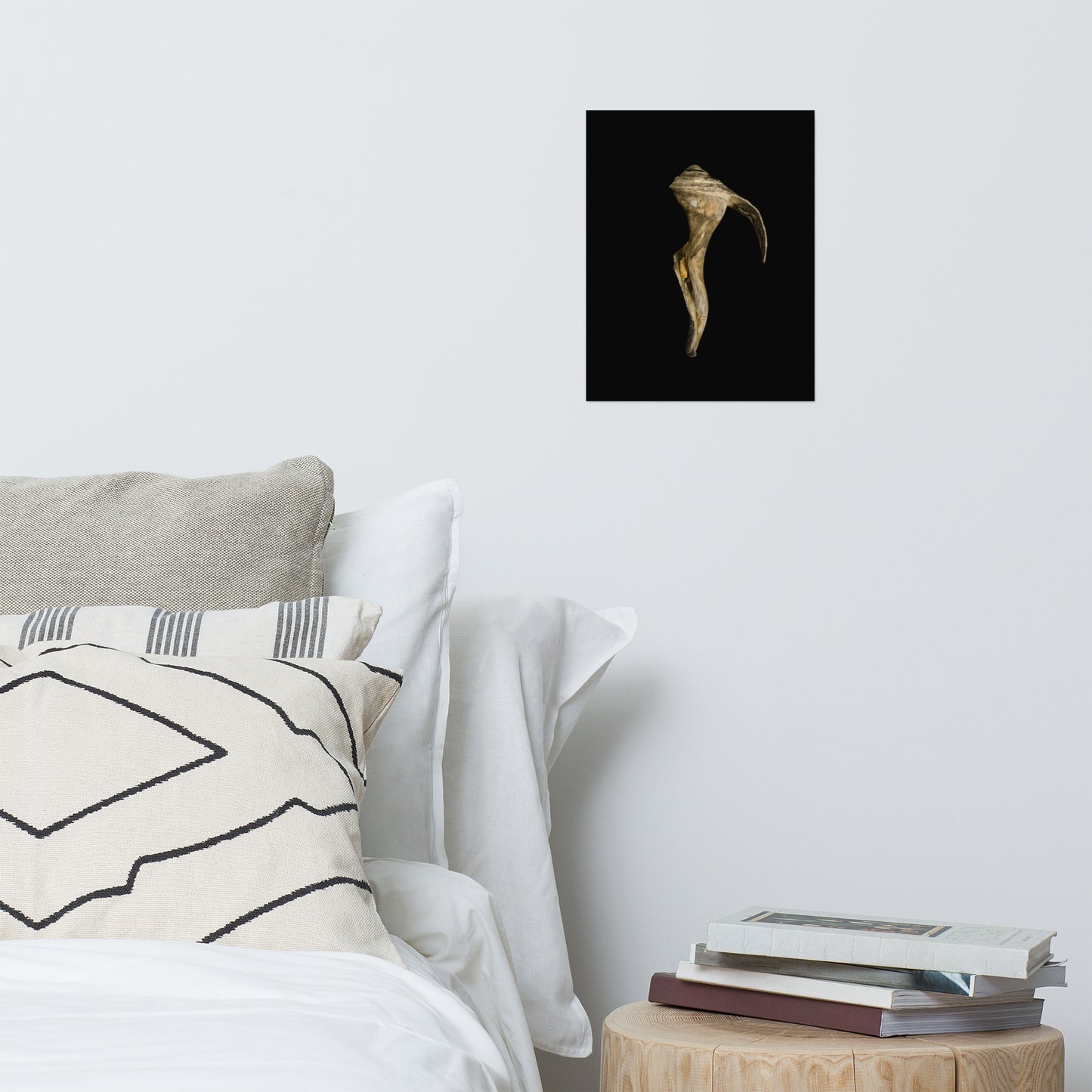 States of Erosion Image 4 Whelk Shell Coastal Nature Photo Loose Unframed Wall Art Prints