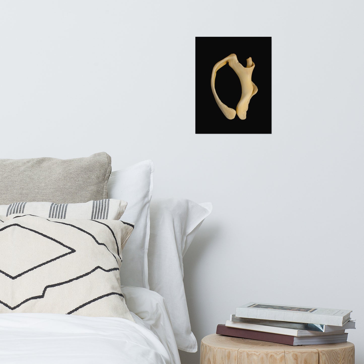 States of Erosion Image 6 Whelk Shell Coastal Nature Photo Loose Unframed Wall Art Prints