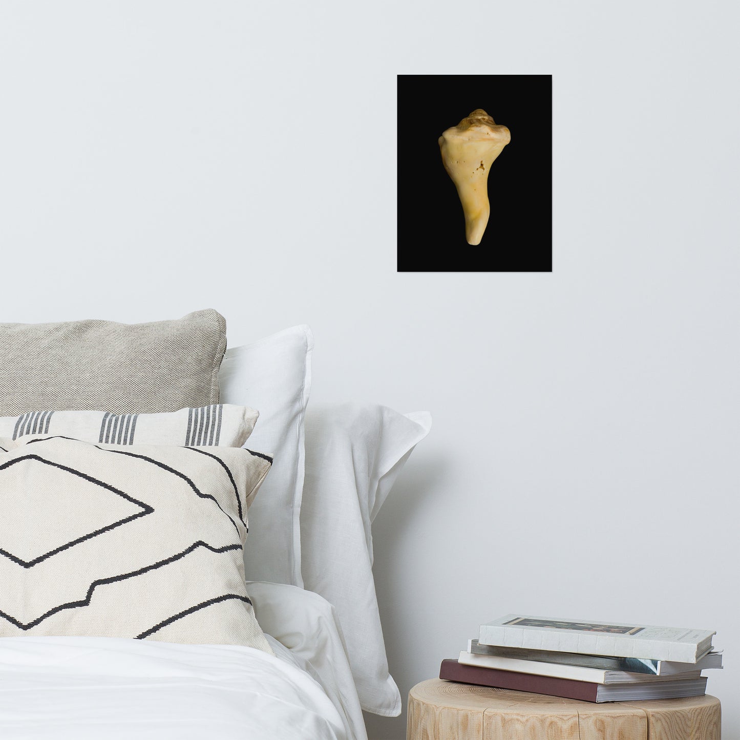 States of Erosion Image 8 Whelk Shell Coastal Nature Photo Loose Unframed Wall Art Prints