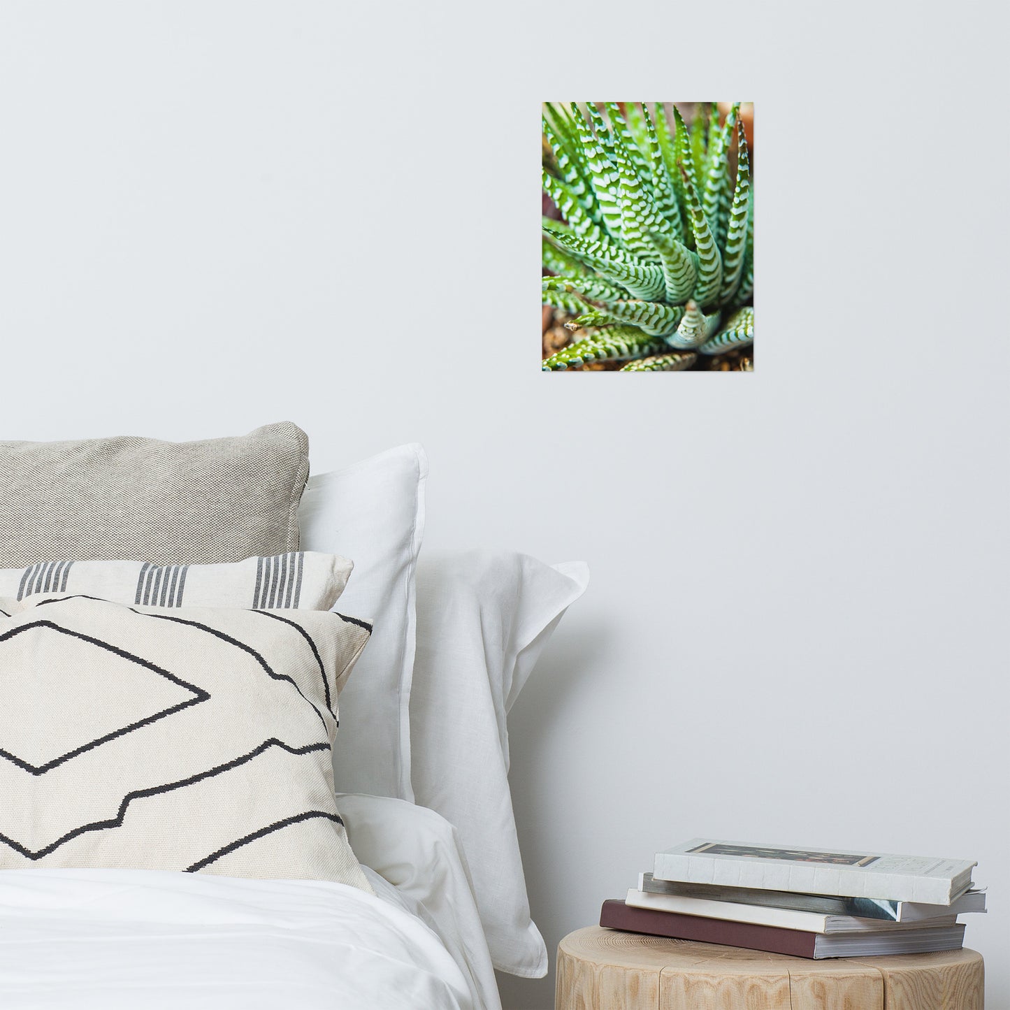 Succulent 2 Minimalist Rustic Farmhouse Style Botanical Nature Photo Loose Unframed Wall Art Prints