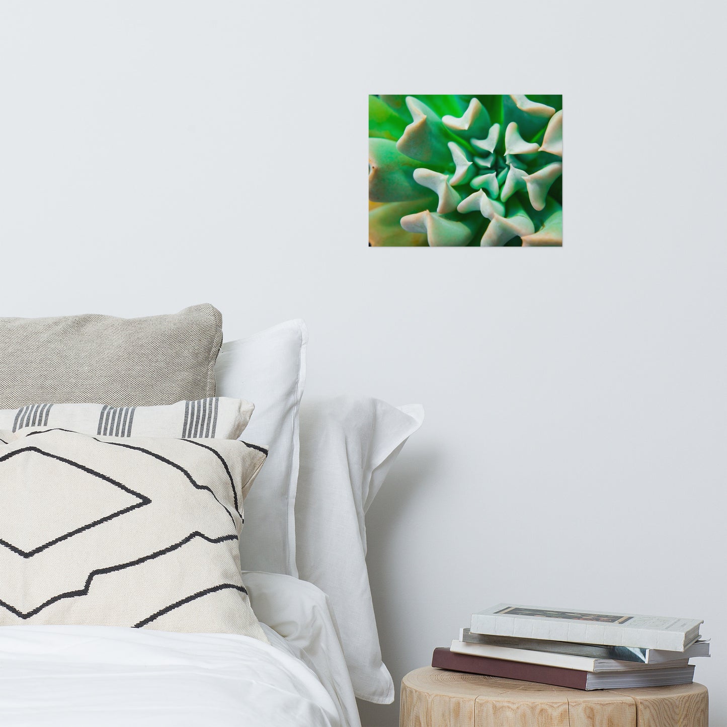 Succulent Botanical Minimalist Rustic Farmhouse Style Nature Photo Loose Unframed Wall Art Prints