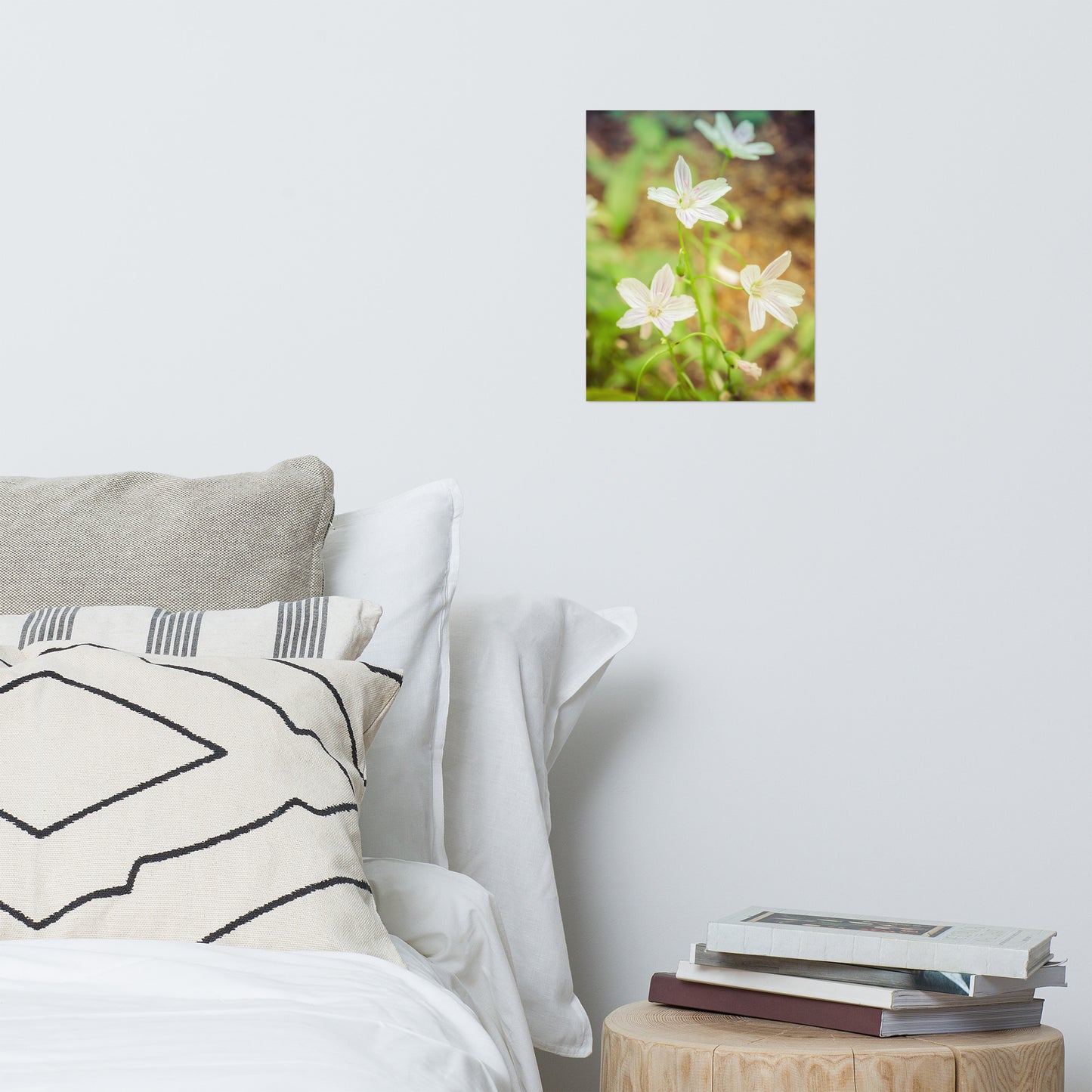 Tranquil Carolina Spring Beauty Floral Nature Photo Loose Unframed Wall Art Prints