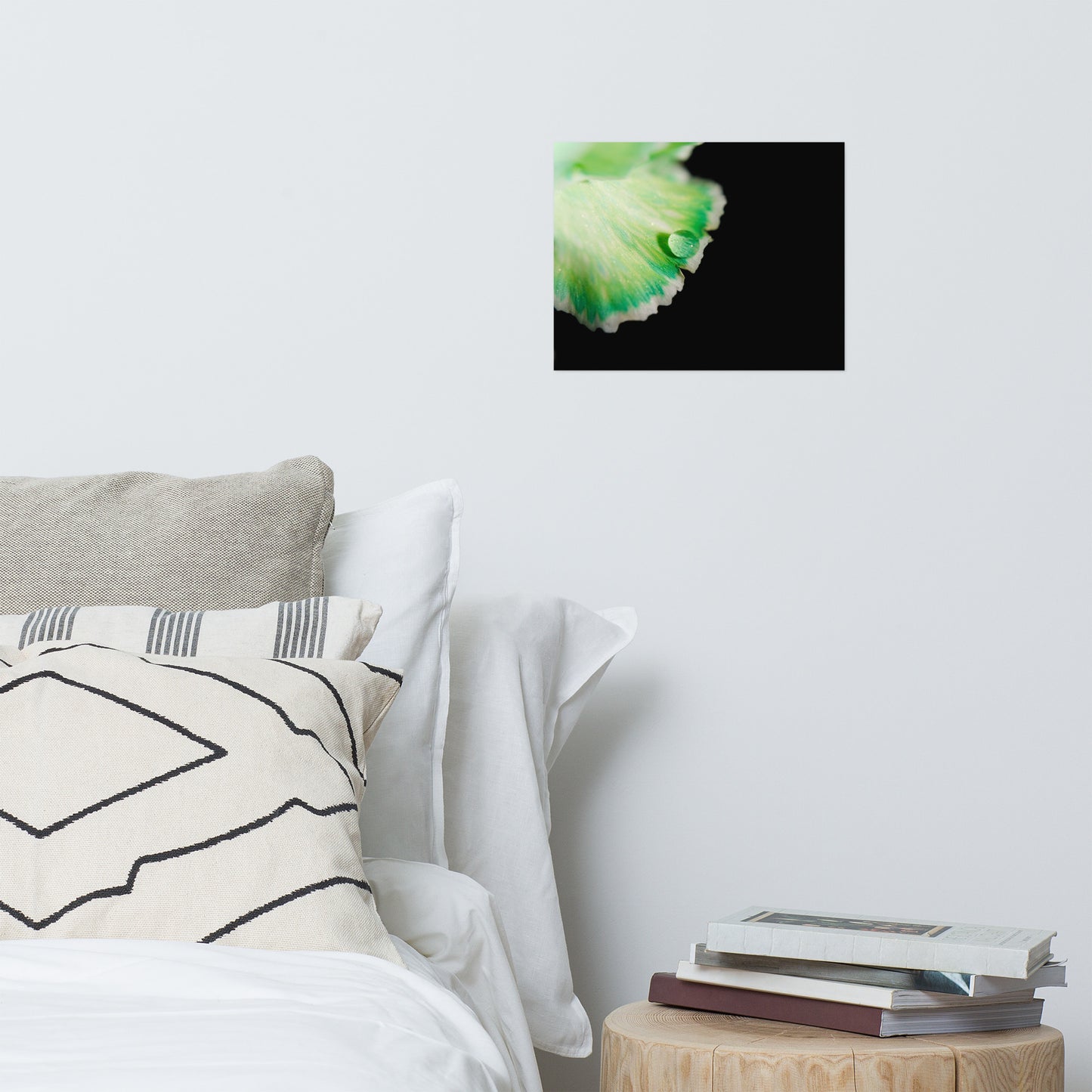 Water Droplet on Carnation Petal Floral Nature Photo Loose Unframed Wall Art Prints