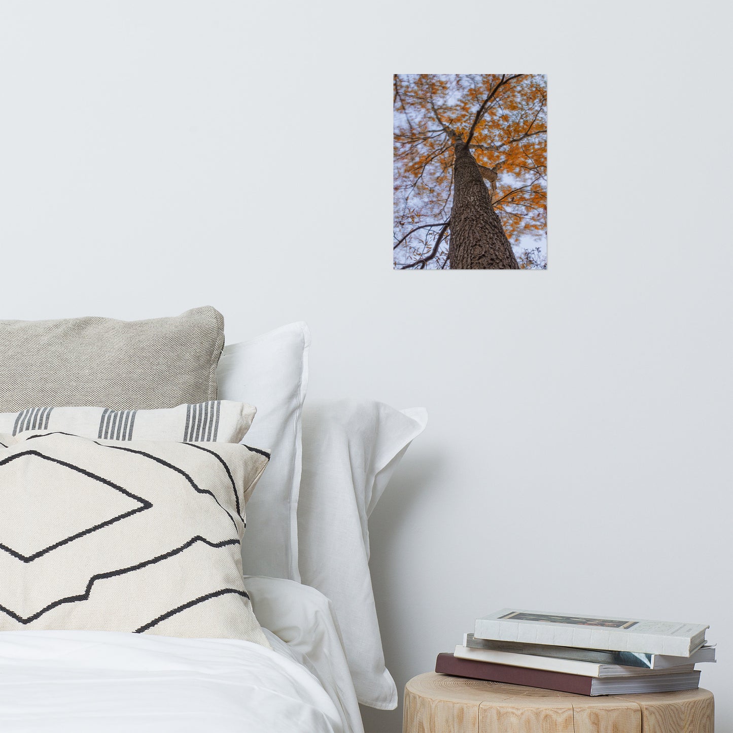 Wind in the Trees Rustic Farmhouse Style Botanical Nature Photo Loose Unframed Wall Art Prints