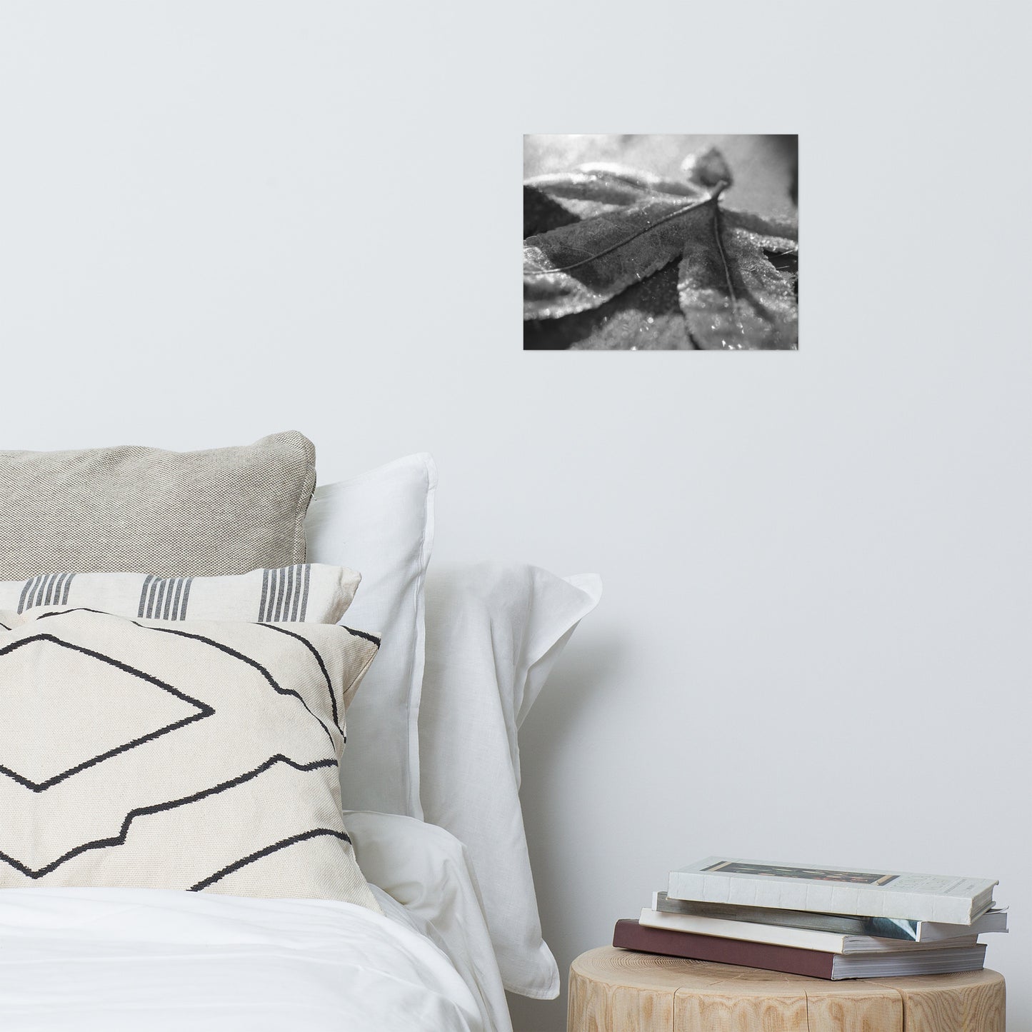 Frost Covered Leaf Black and White Botanical Nature Photo Loose Unframed Wall Art Prints