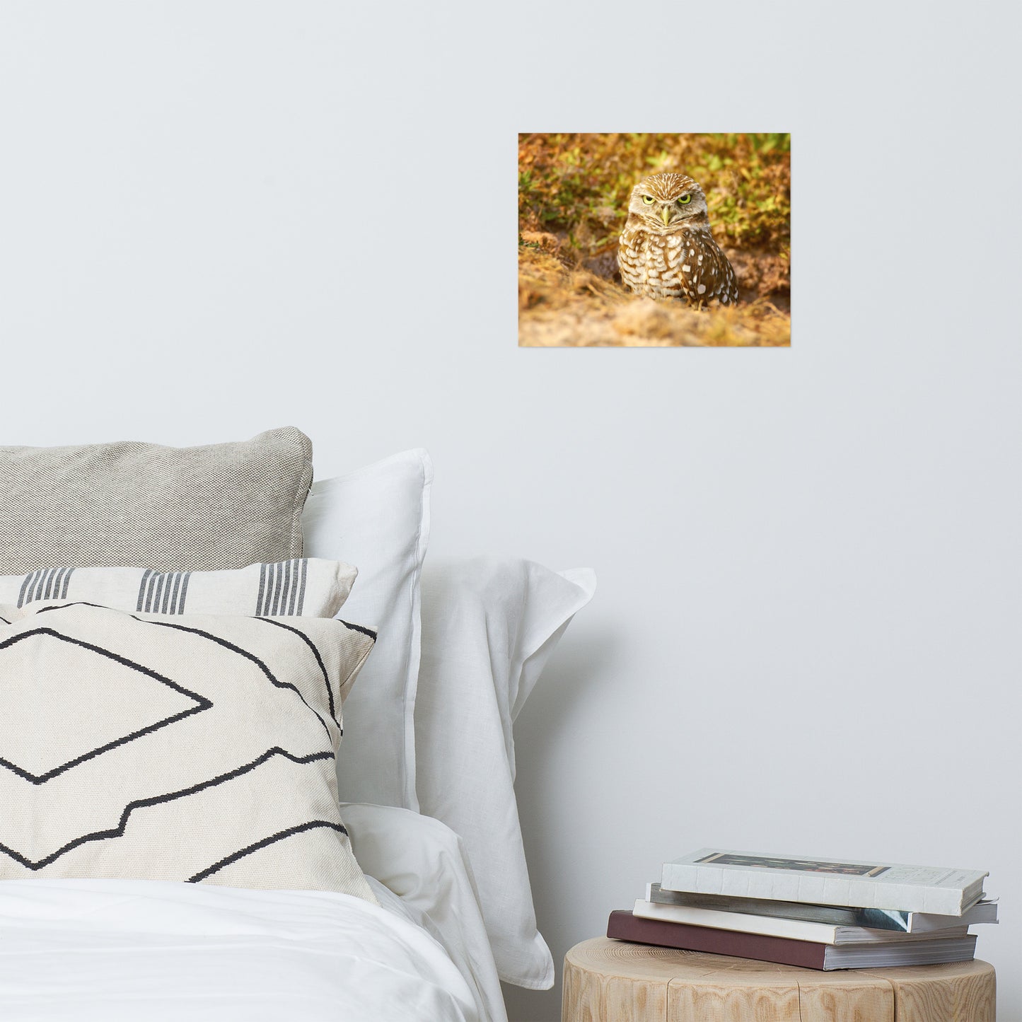 Burrowing Owl in Golden Light Rustic Bird / Animal / Wildlife Photograph Art Print