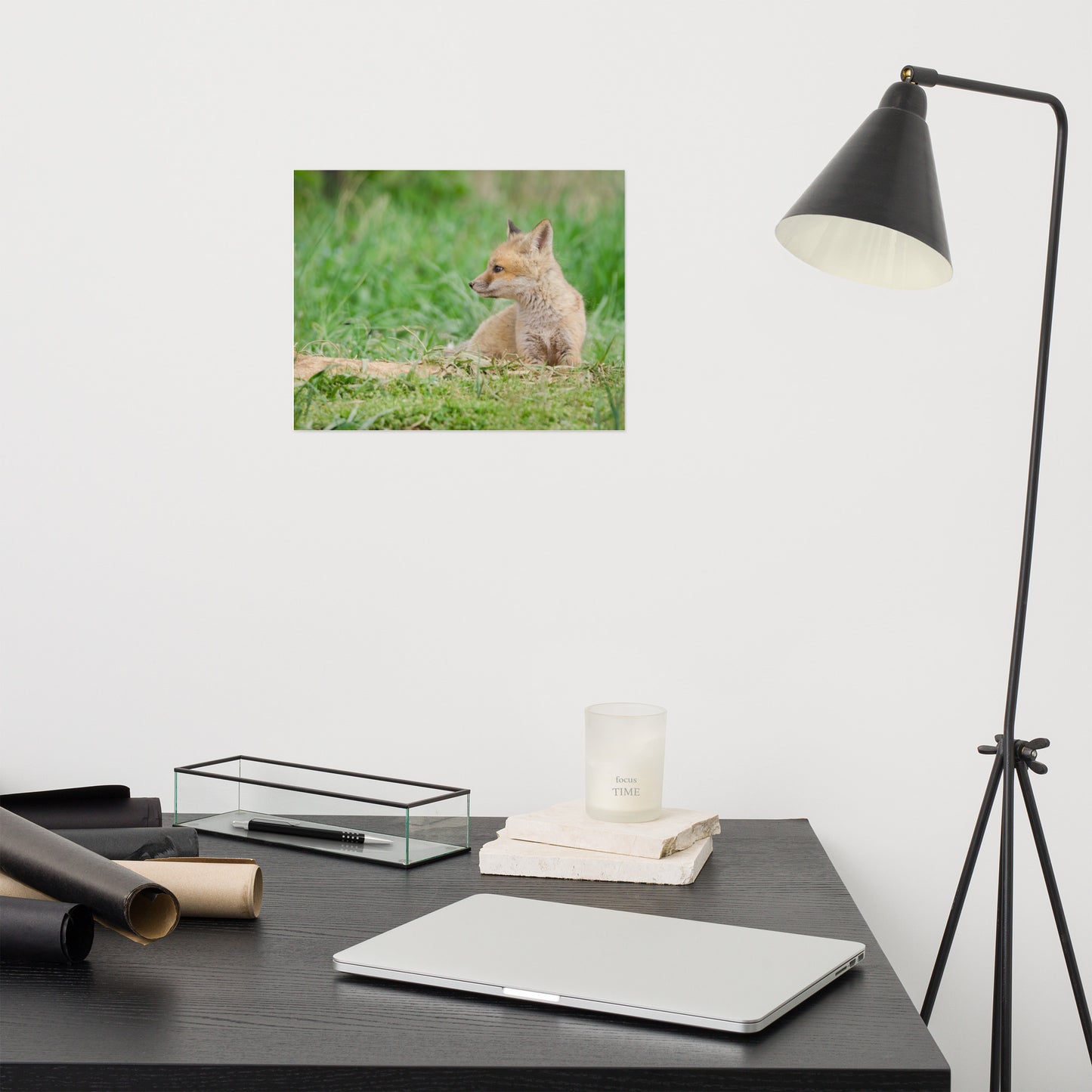 Fox Artwork Prints: Red Fox Pups - Chillin Animal / Wildlife / Nature Photograph Loose / Unframed / Frameless / Frameable Wall Art Print - Artwork