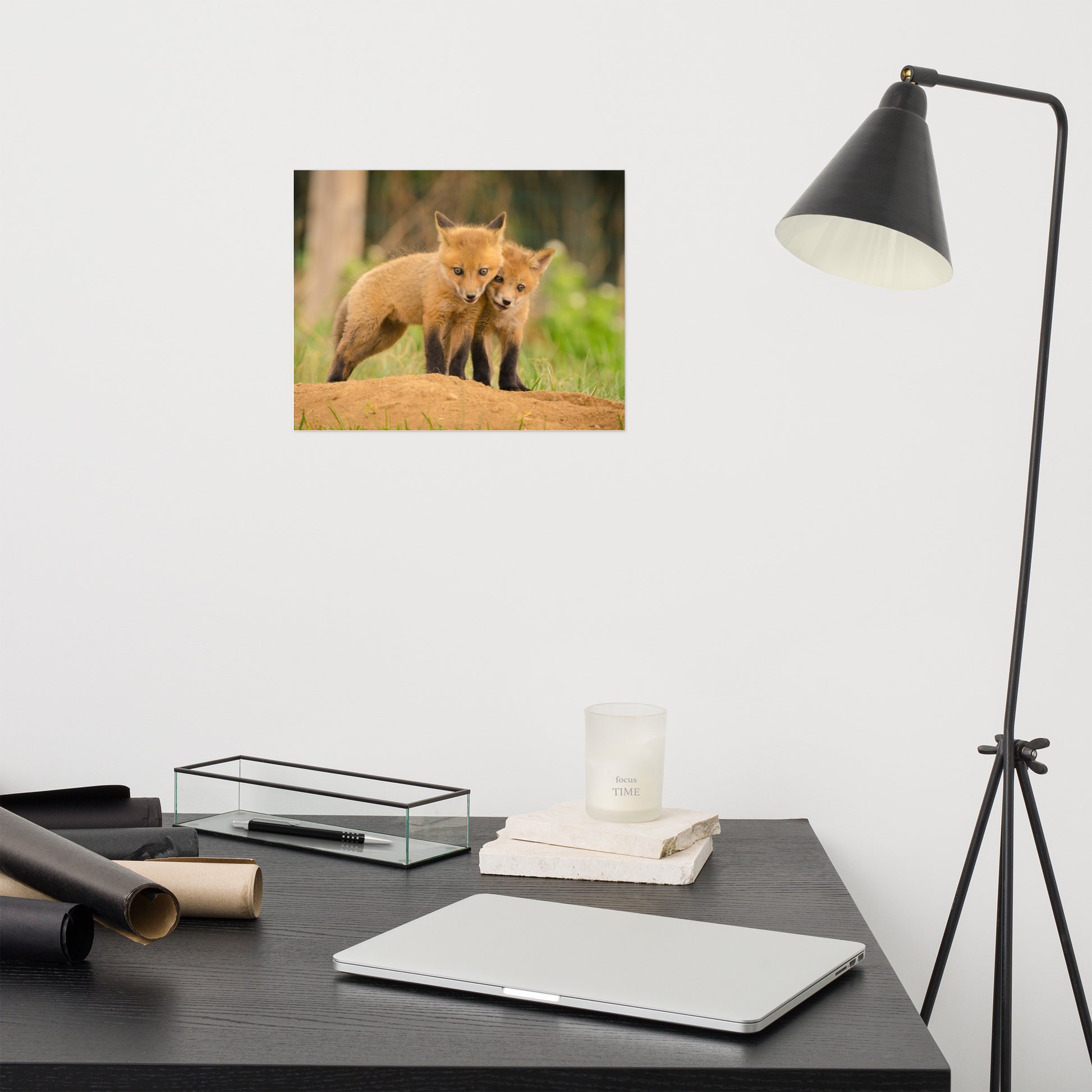 Modern Nursery Wall Art: Close to You Animal / Wildlife / Nature Photograph Loose / Unframed / Frameless / Frameable Wall Art Prints