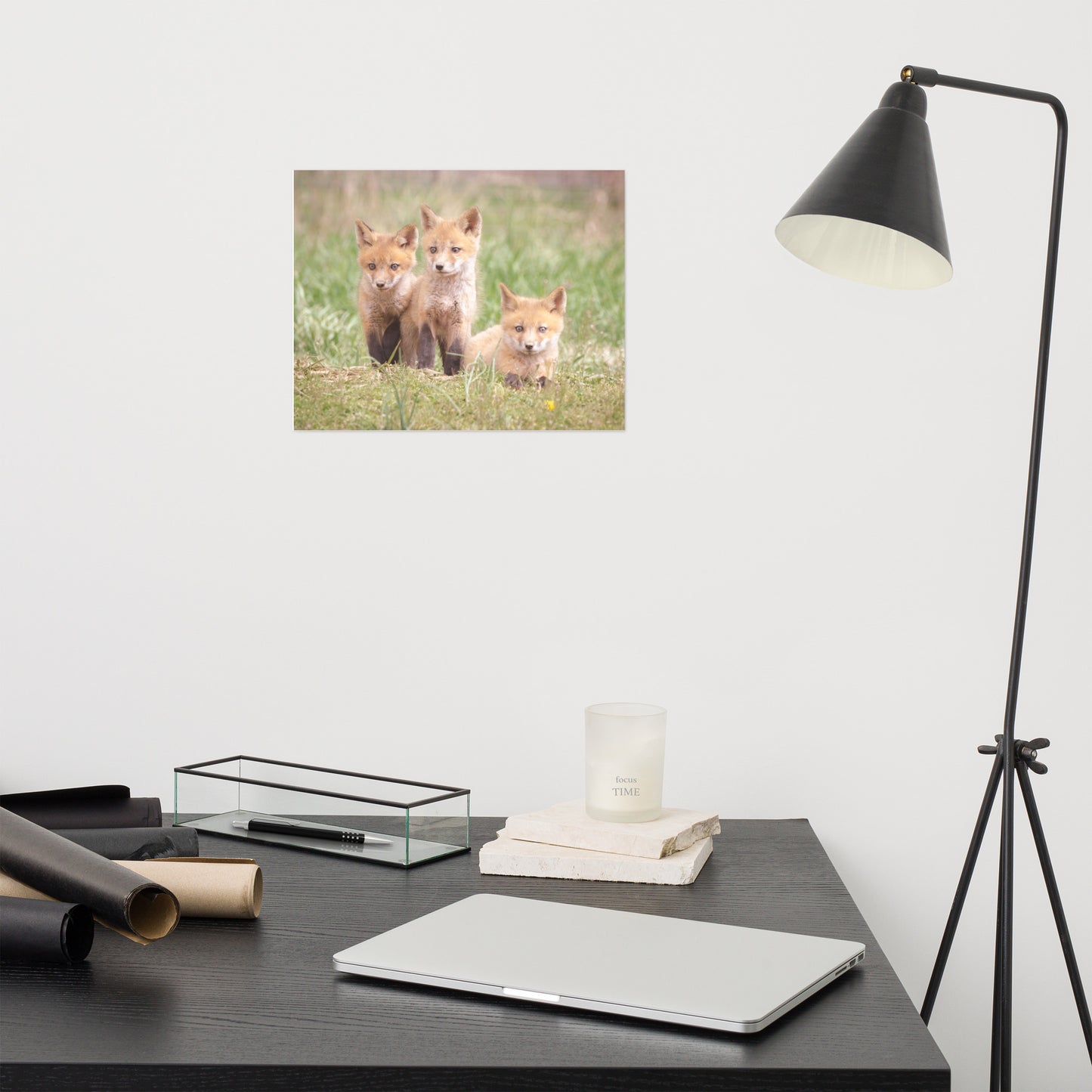 Baby Red Foxes Siblings Loose Wall Art Print