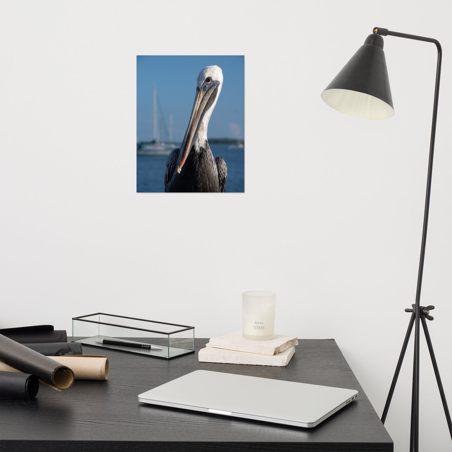 Bob The Pelican 3 Color Loose Wall Art Print