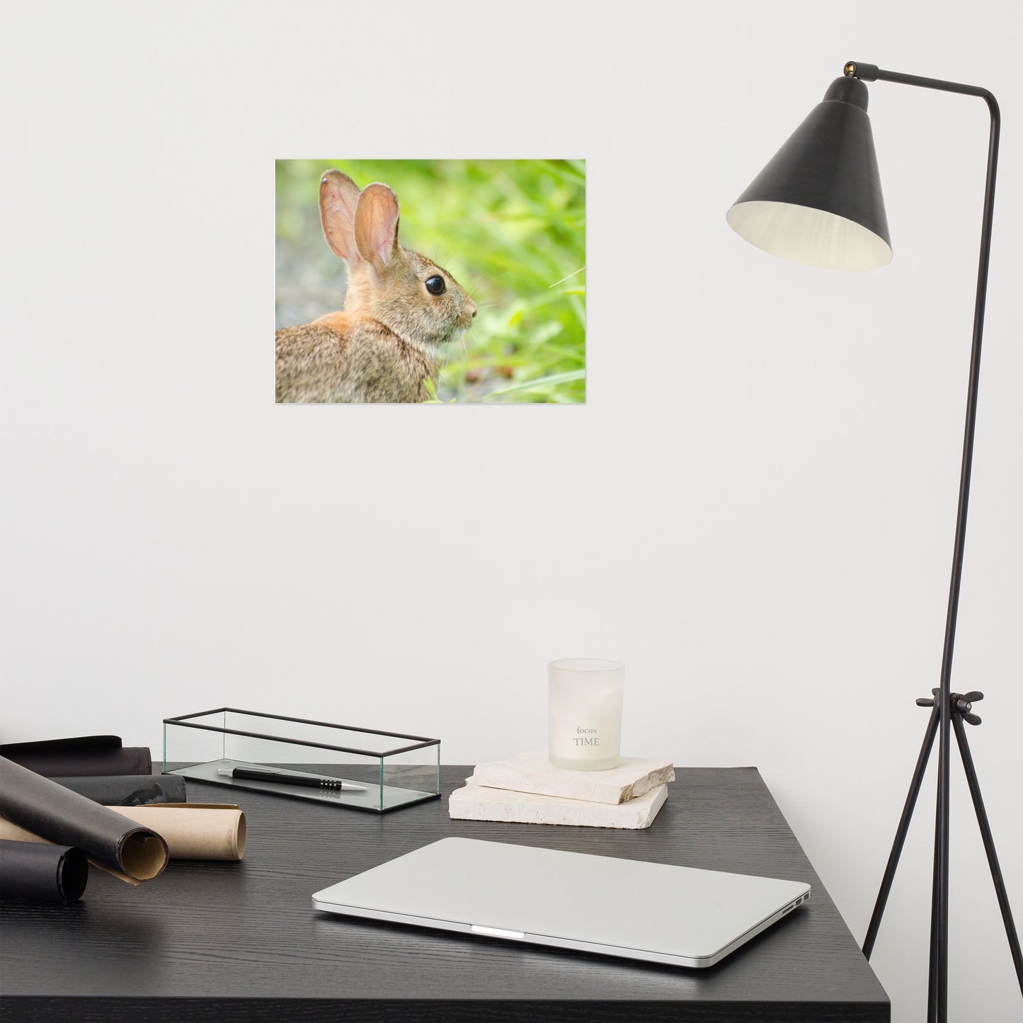 Bunny at Bombay Hook Animal / Wildlife Photograph Loose Wall Art Print