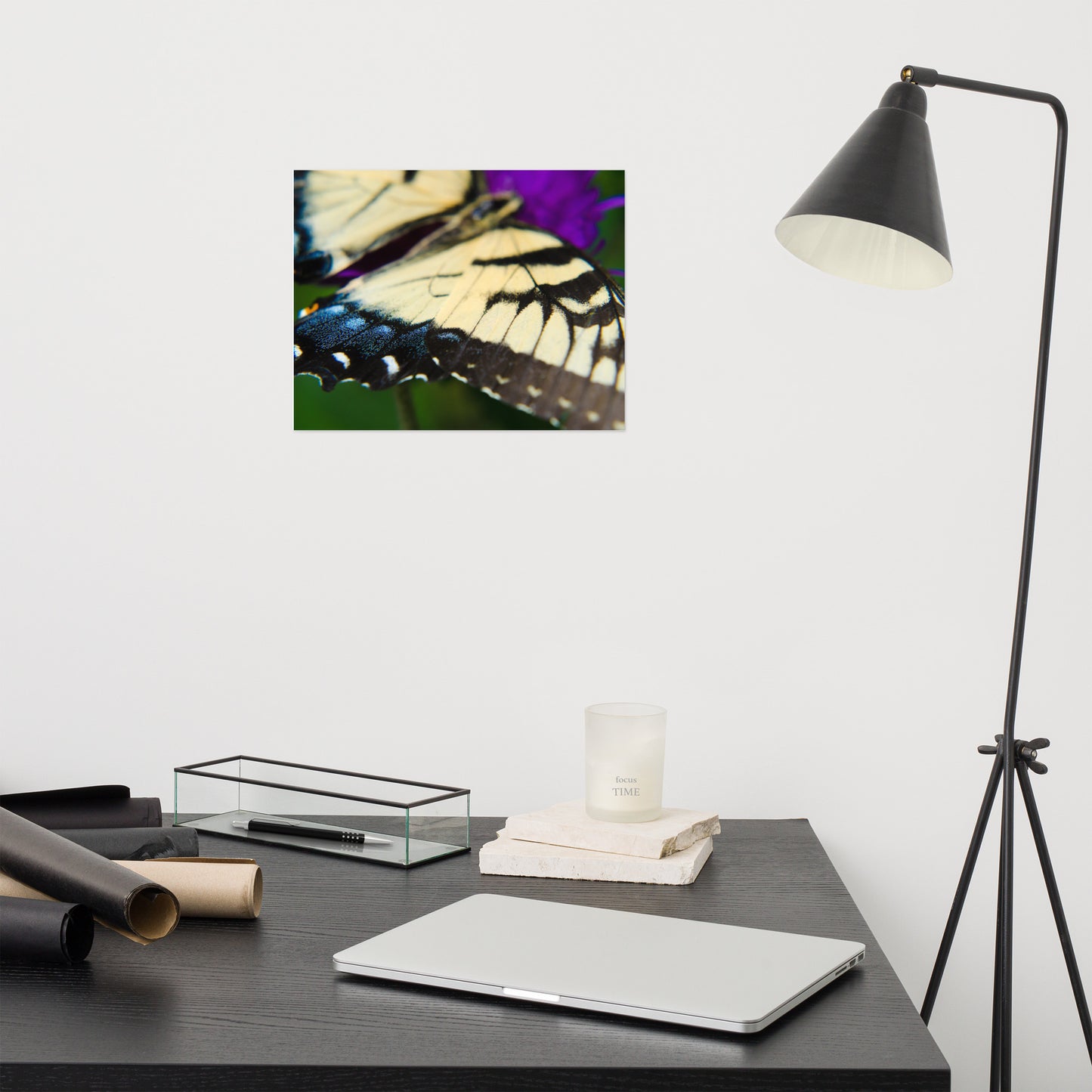 Butterfly Wings Animal / Wildlife Photograph Loose Wall Art Print