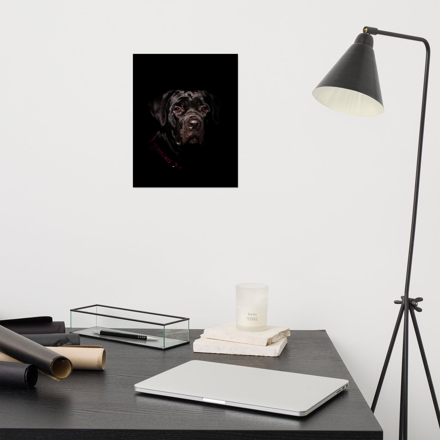 Cane Corso Low-Key Animal Photograph Loose Wall Art Print