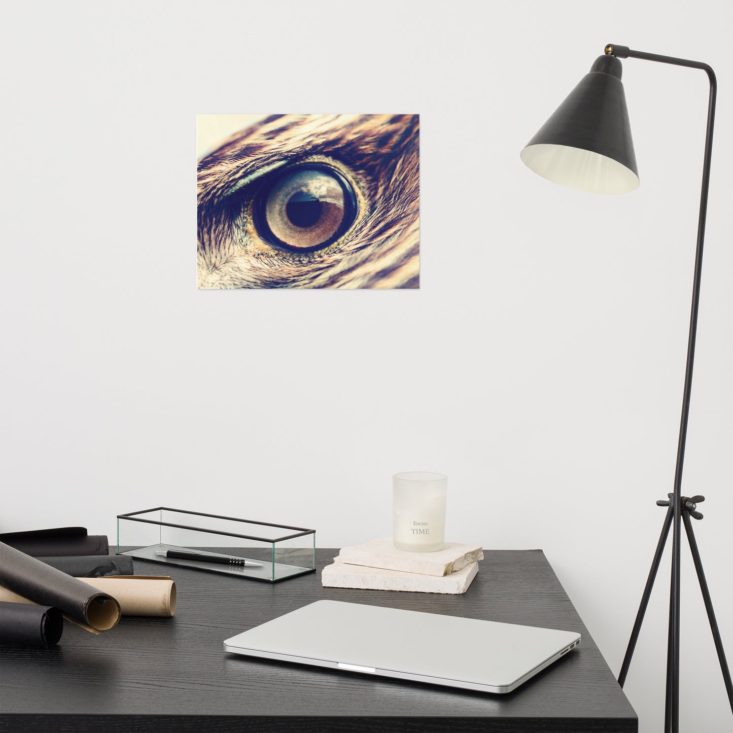 Close-up Eagle Eye Color Tone Rustic Bird / Animal / Wildlife Photo Loose Wall Art Print