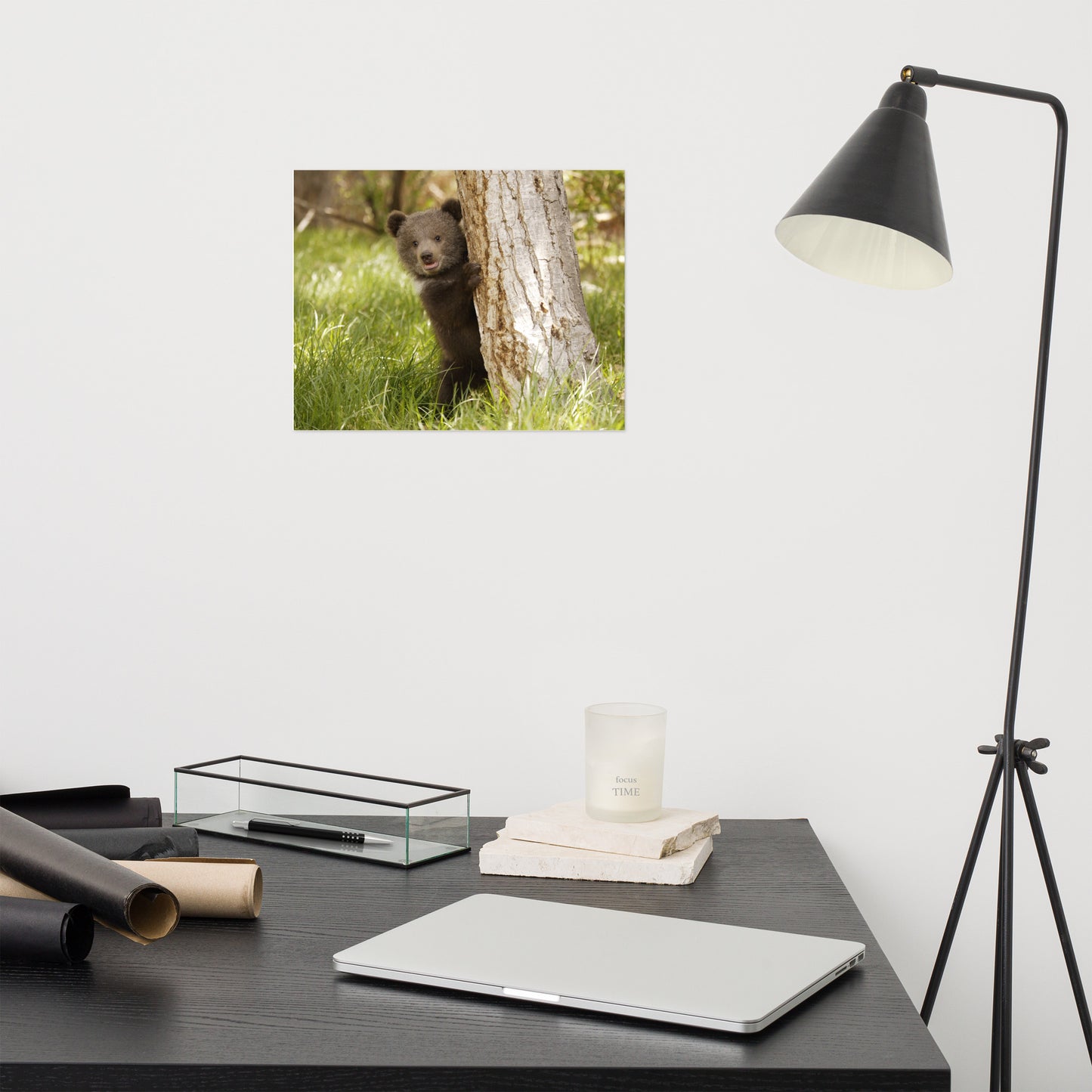Cute Baby Grizzly Bear Cub Behind Tree In Meadow Rustic Animal / Wildlife Photo Loose Wall Art Print
