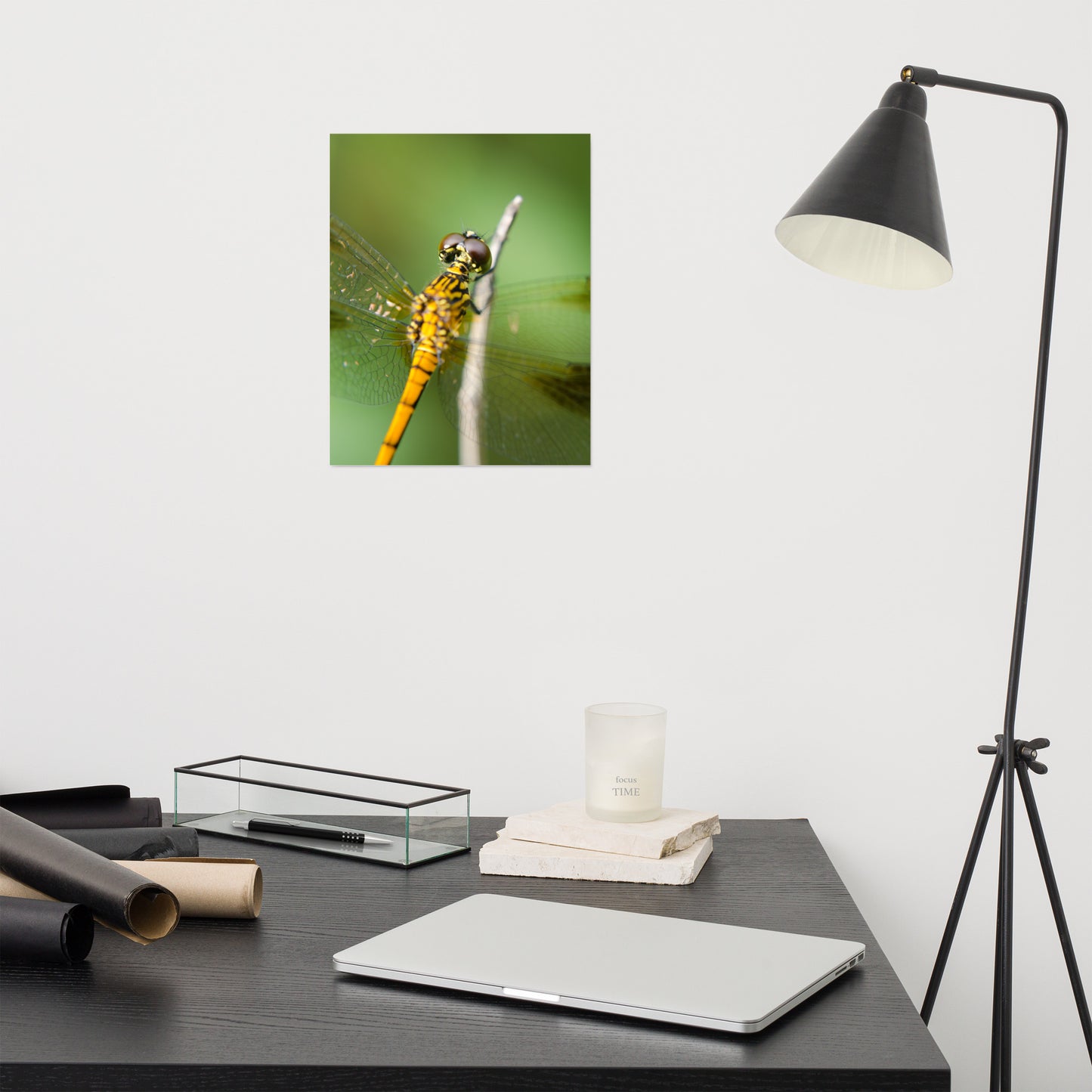 Dragonfly at Bombay Hook Farmhouse Style Wildlife Photograph Loose Wall Art Print