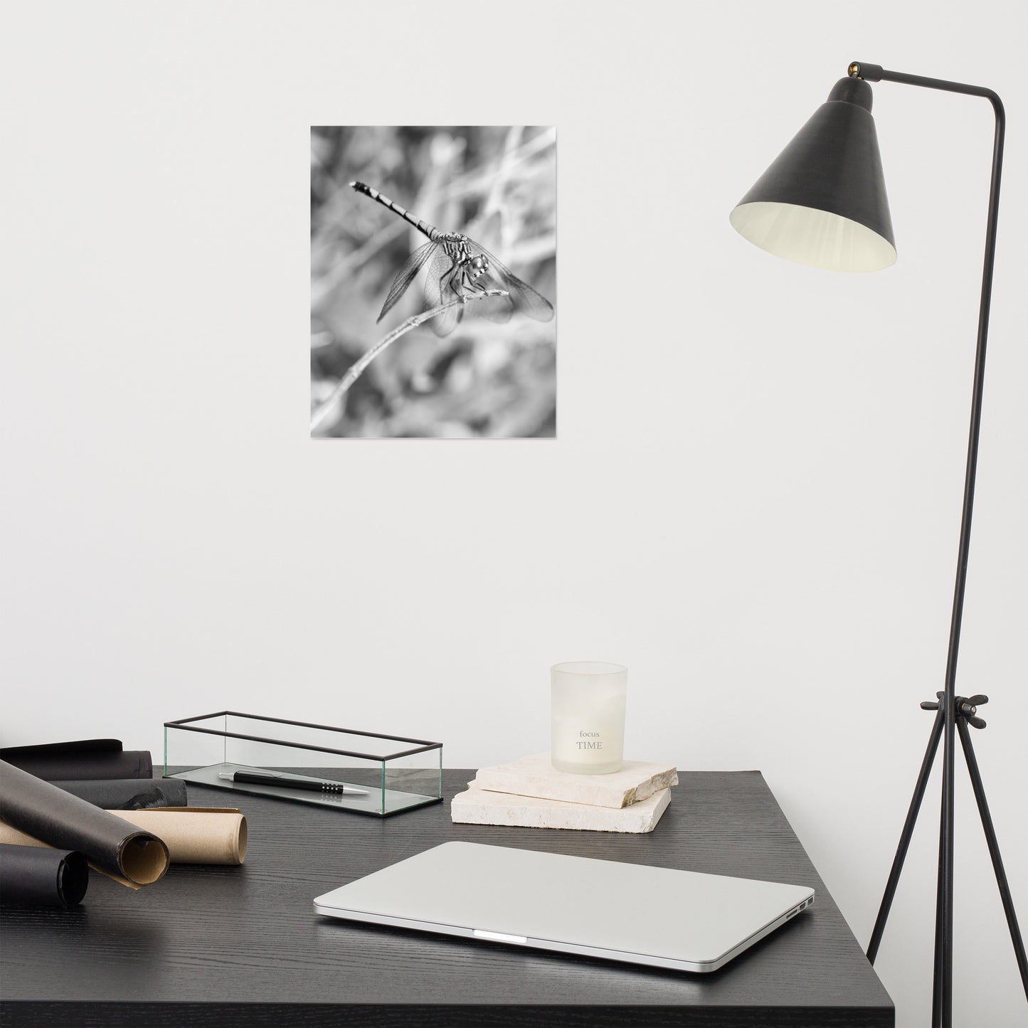 Dragonfly on Twig Black and White Rustic Wildlife Photograph Loose Wall Art Print