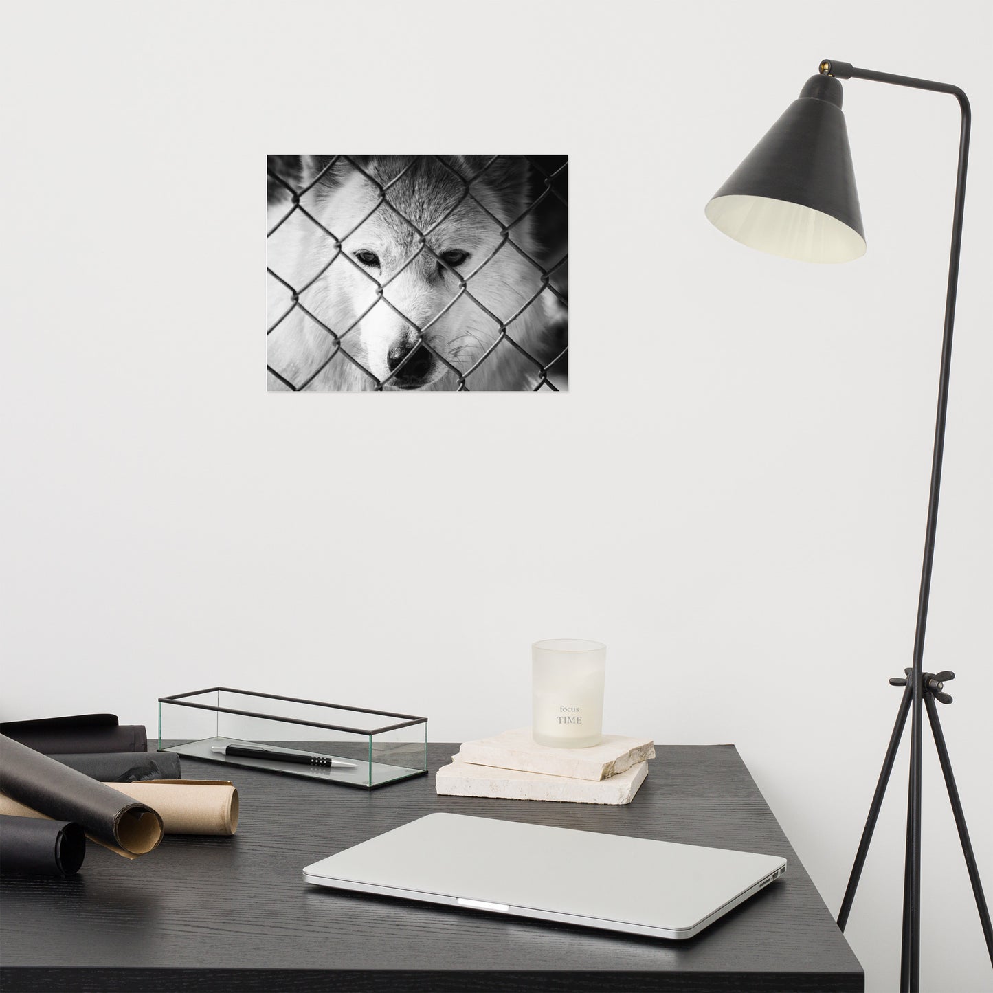 Dreams of Freedom Rustic Animal / Wildlife Photograph Loose Wall Art Print