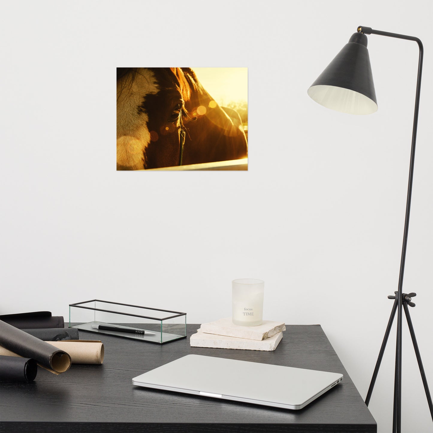 Evening Flare Rustic Farmhouse Style Horse Photograph Loose Wall Art Print